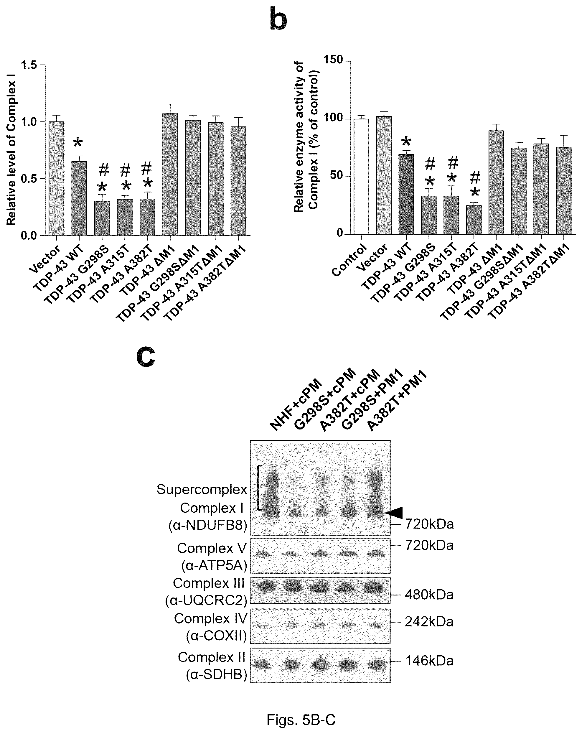 Patent US12129285 Figure 14 – TDP-43 mitochondrial localization inhibitor for the treatment of neurogenerative disease