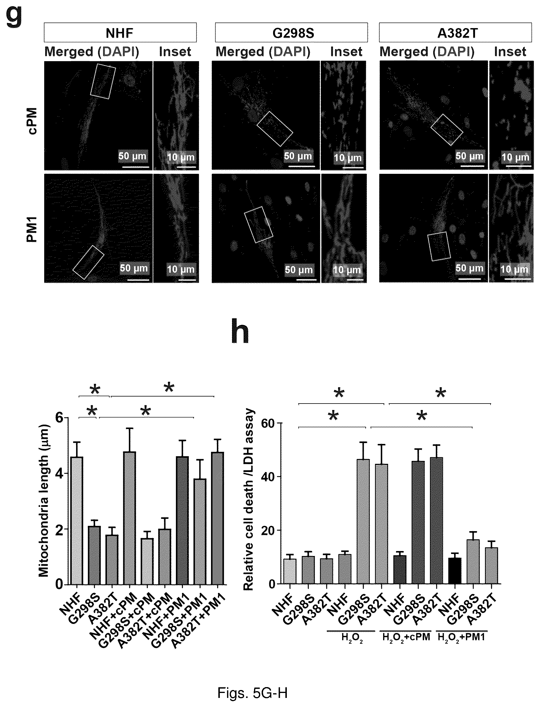 Patent US12129285 Figure 16 – TDP-43 mitochondrial localization inhibitor for the treatment of neurogenerative disease