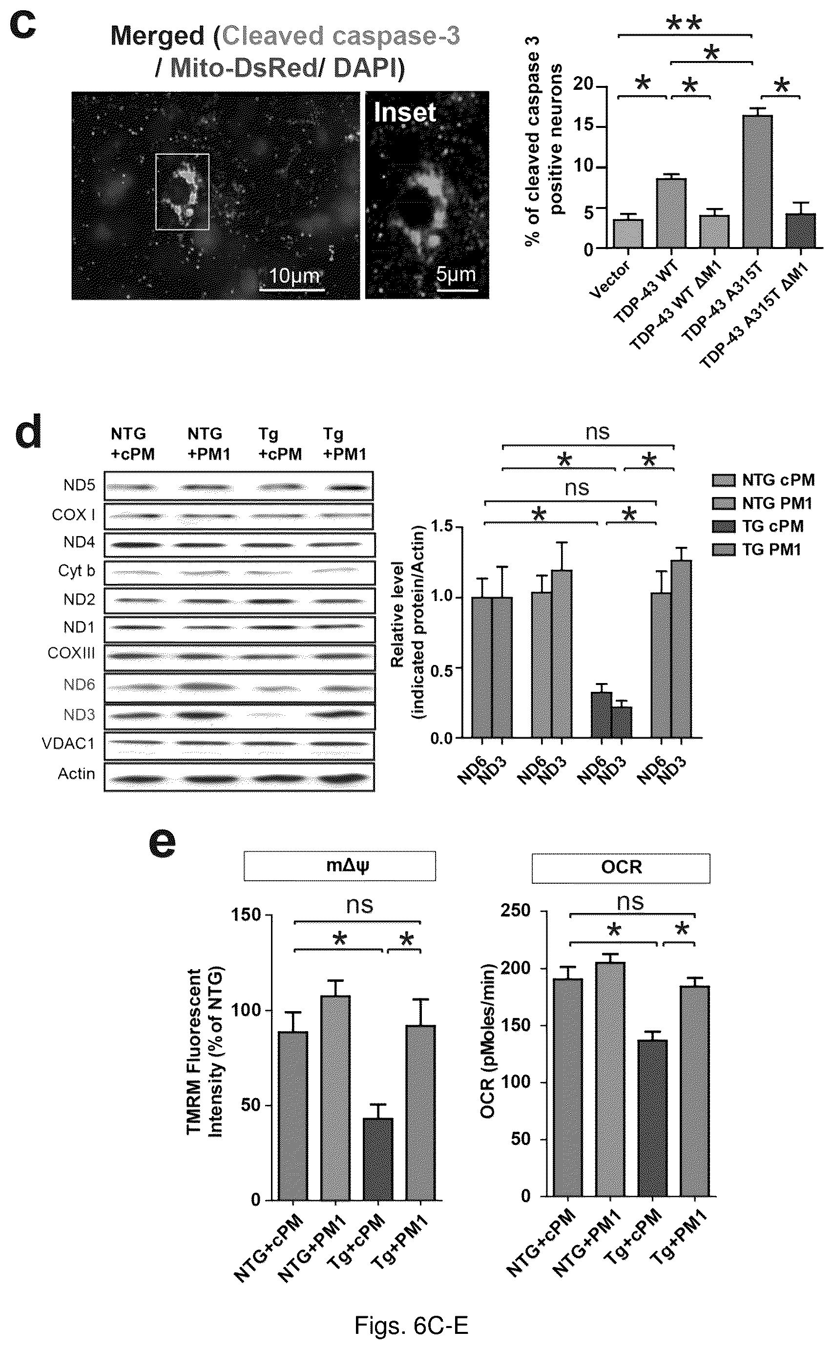 Patent US12129285 Figure 18 – TDP-43 mitochondrial localization inhibitor for the treatment of neurogenerative disease