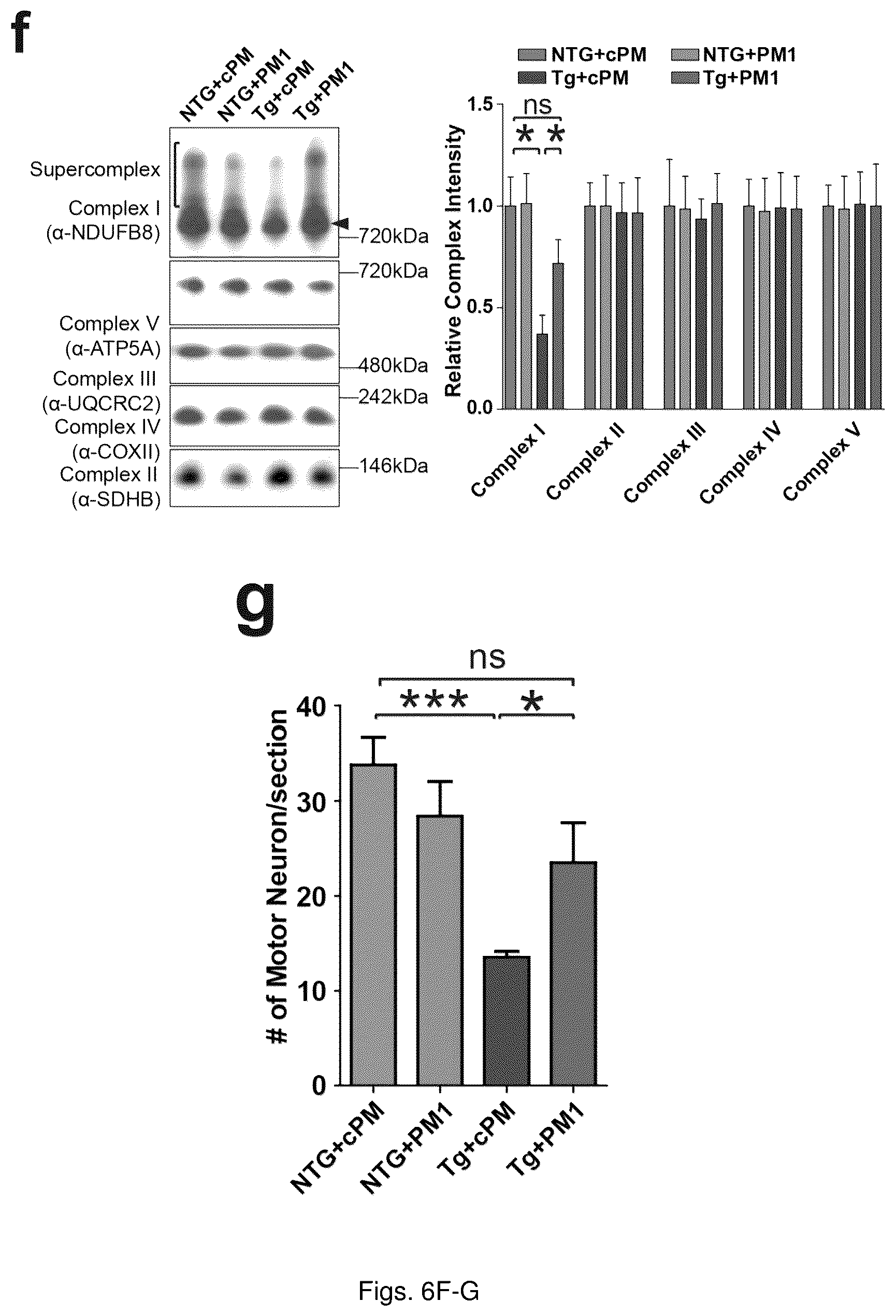 Patent US12129285 Figure 19 – TDP-43 mitochondrial localization inhibitor for the treatment of neurogenerative disease
