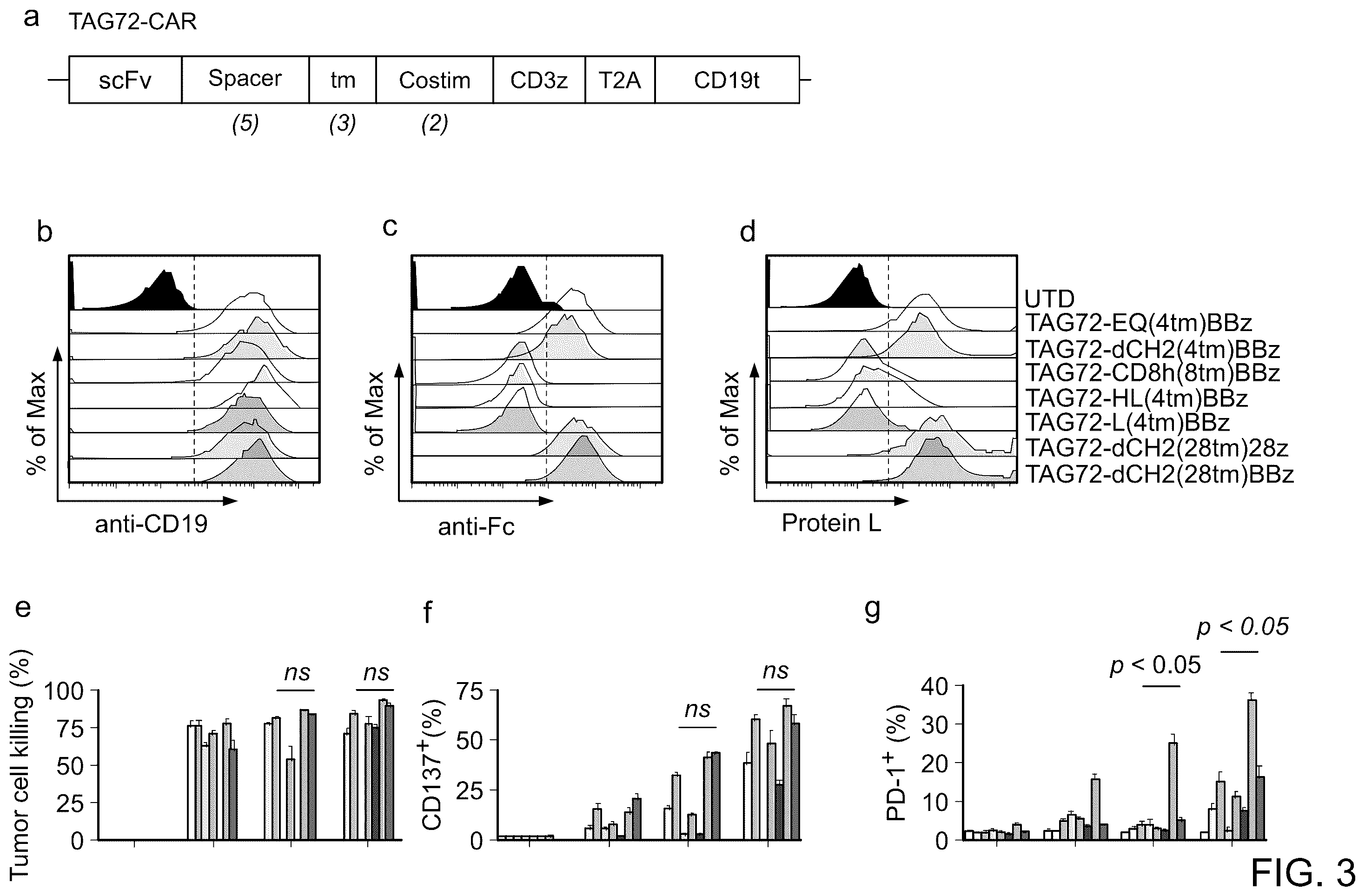 Patent US12129286 Figure 3 – Membrane-bound IL-12 for cellular immunotherapy
