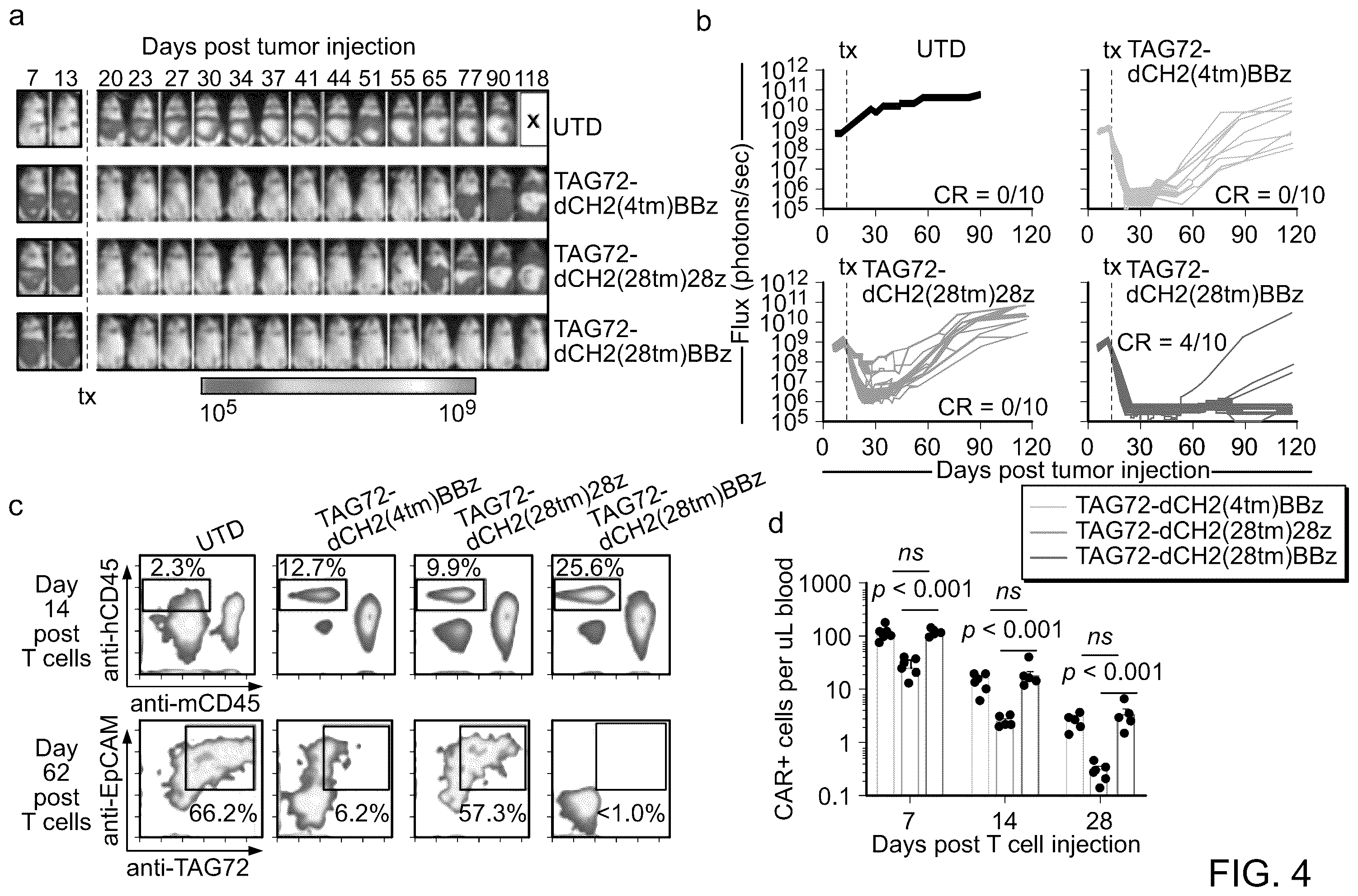 Patent US12129286 Figure 5 – Membrane-bound IL-12 for cellular immunotherapy