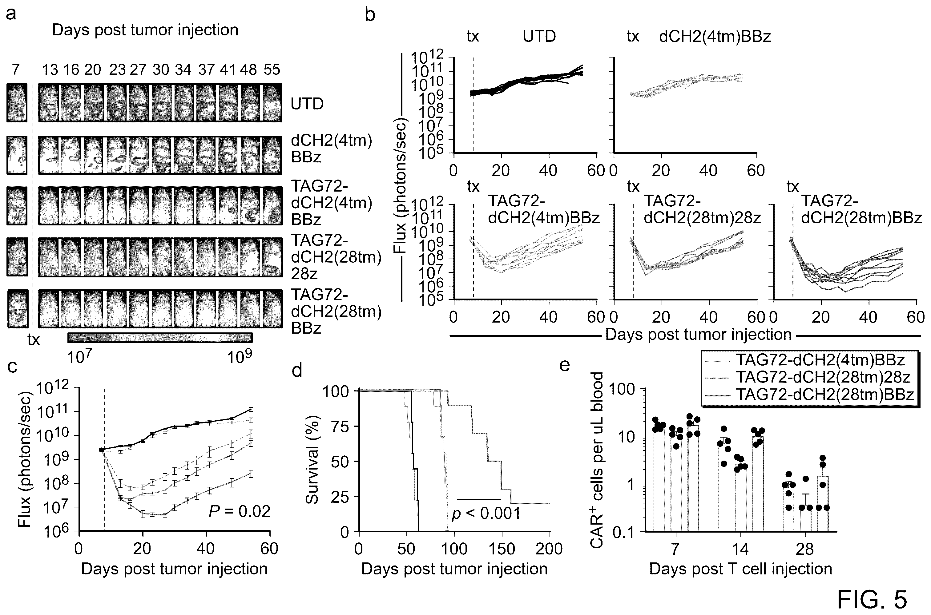Patent US12129286 Figure 6 – Membrane-bound IL-12 for cellular immunotherapy