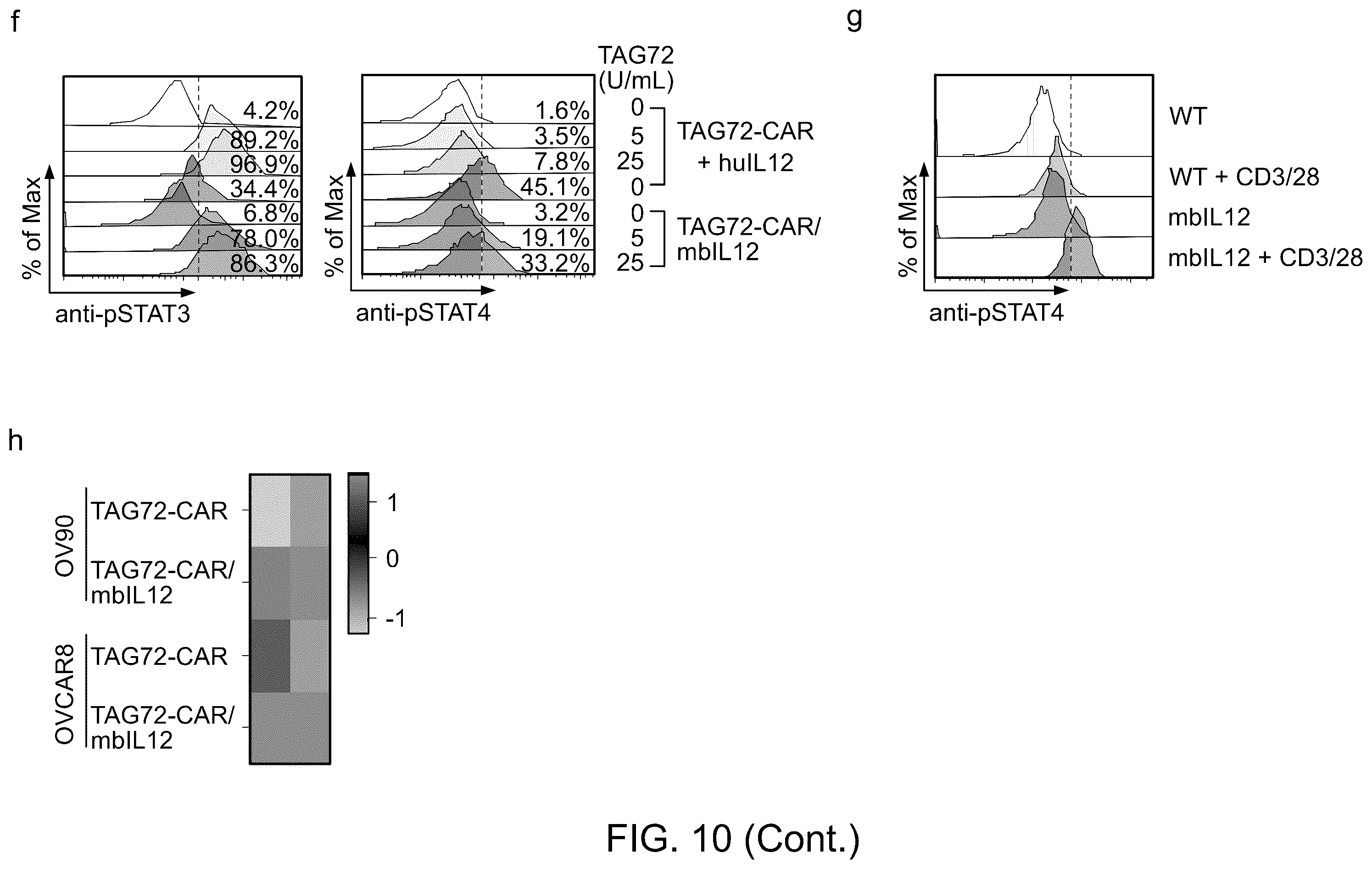 Patent US12129286 Figure 12 – Membrane-bound IL-12 for cellular immunotherapy