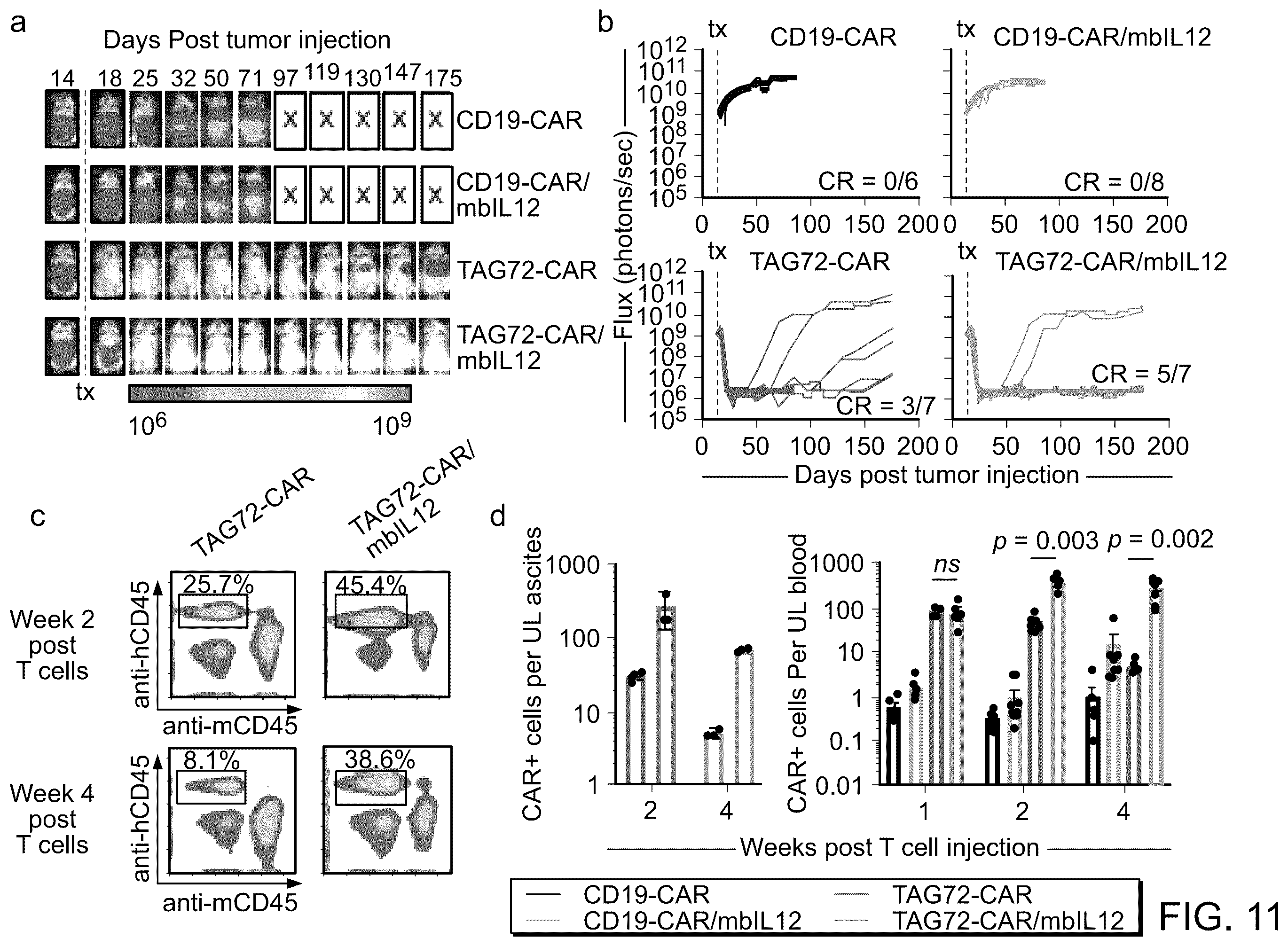 Patent US12129286 Figure 13 – Membrane-bound IL-12 for cellular immunotherapy