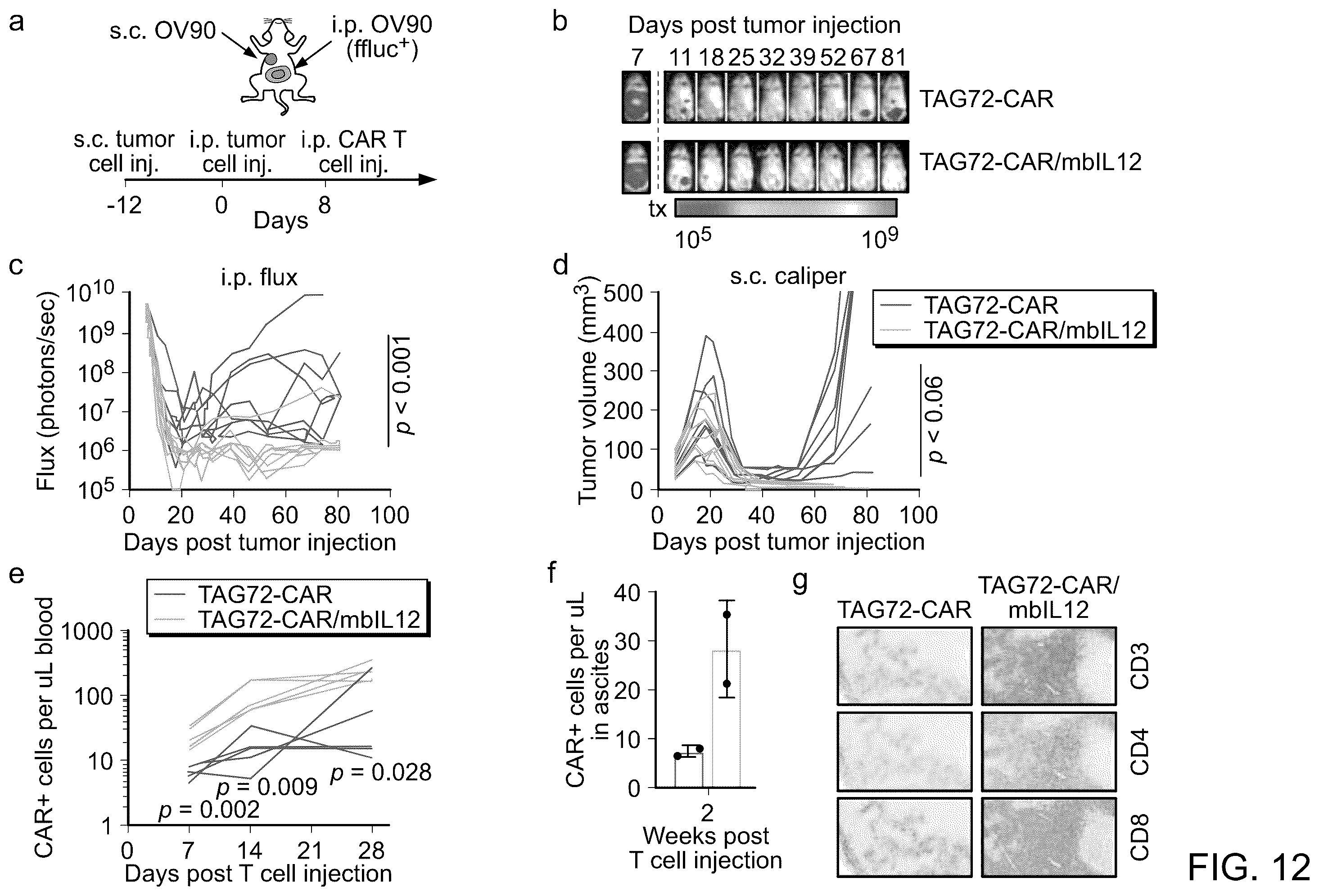 Patent US12129286 Figure 15 – Membrane-bound IL-12 for cellular immunotherapy