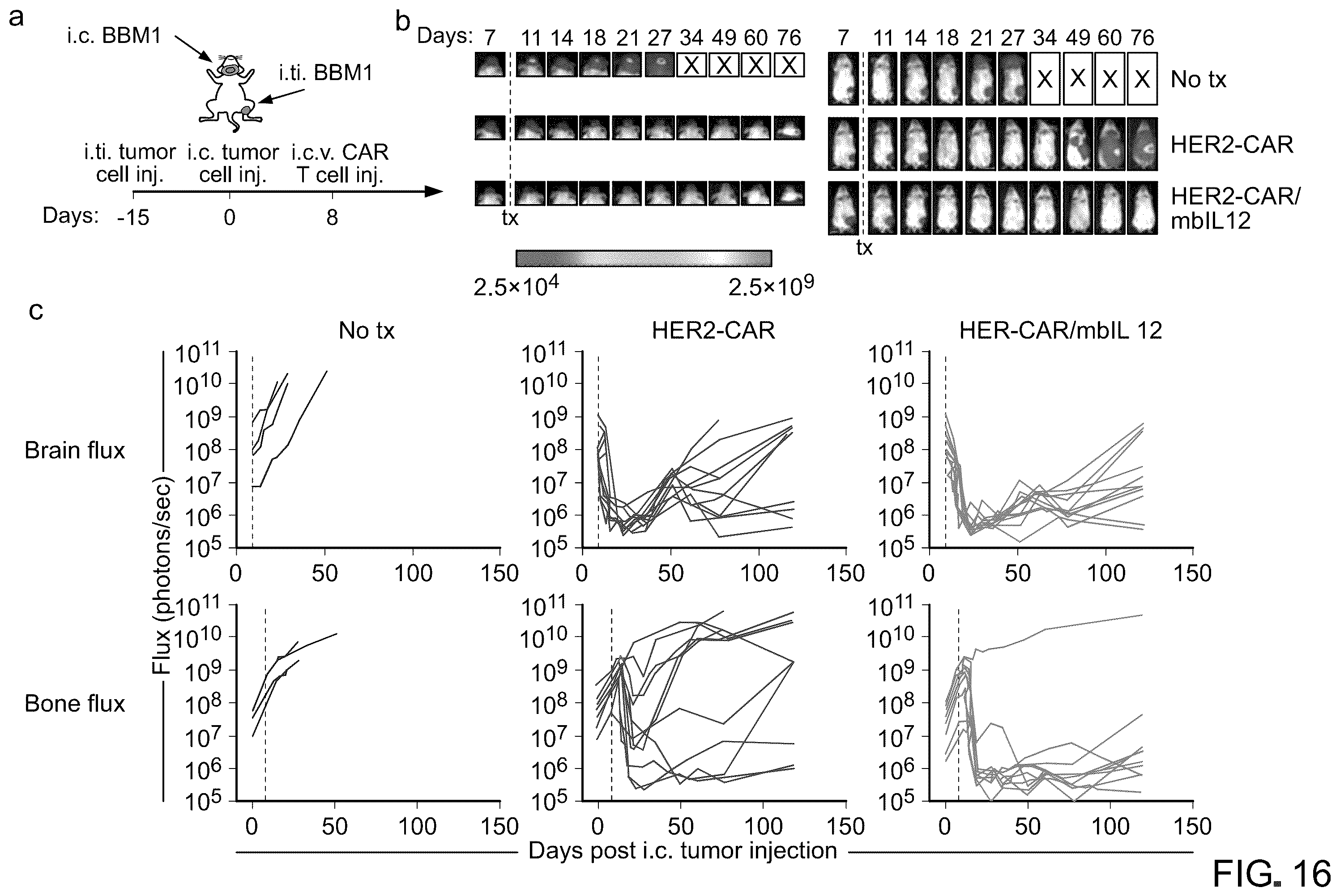Patent US12129286 Figure 20 – Membrane-bound IL-12 for cellular immunotherapy