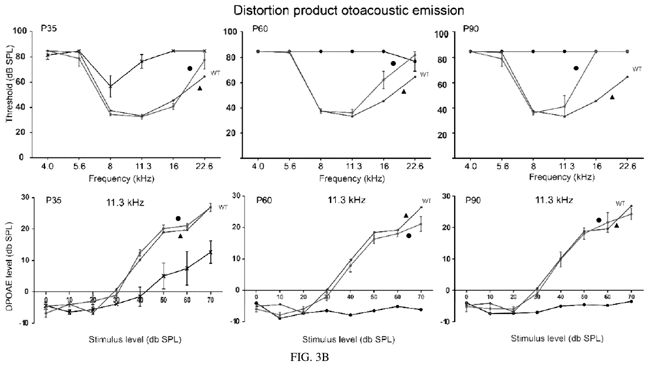 Patent US12129287 Figure 6 – Recombinant adeno associated virus encoding clarin-1 and uses thereof