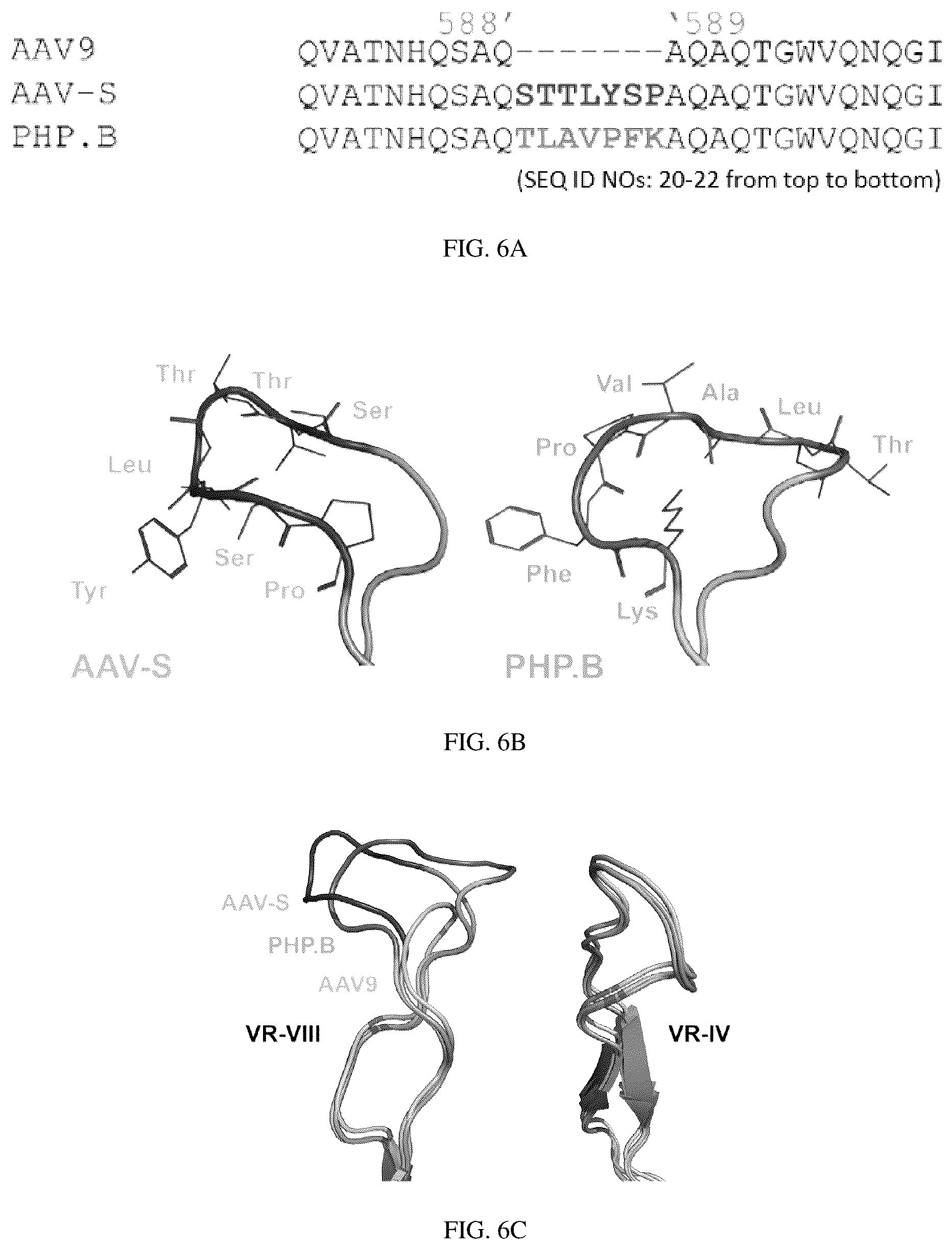 Patent US12129287 Figure 9 – Recombinant adeno associated virus encoding clarin-1 and uses thereof