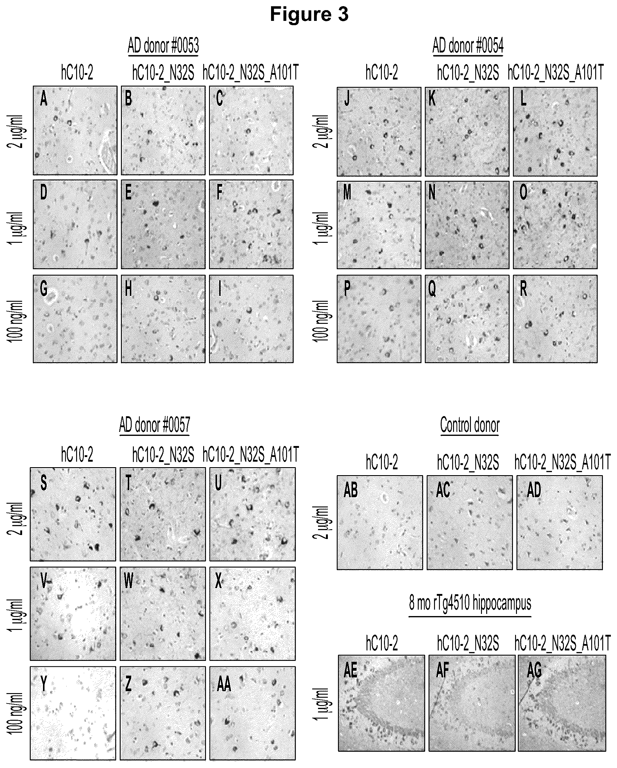 Patent US12129289 Figure 3 – Antibodies specific for hyperphosphorylated tau and methods of use thereof