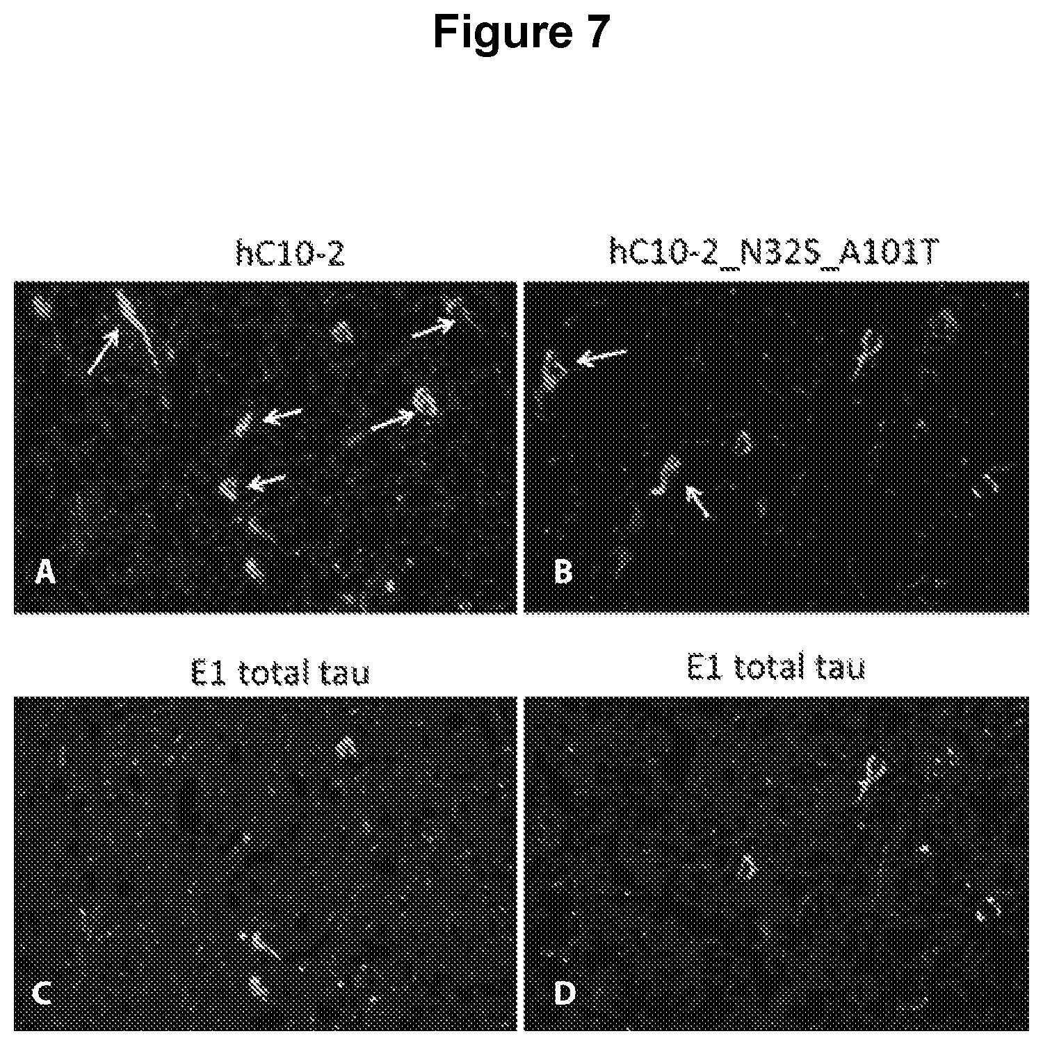 Patent US12129289 Figure 7 – Antibodies specific for hyperphosphorylated tau and methods of use thereof