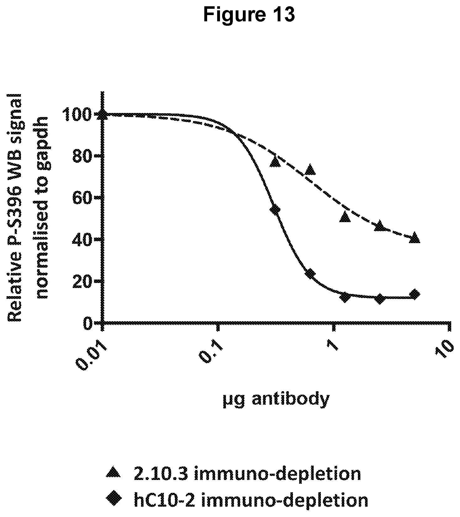 Patent US12129289 Figure 16 – Antibodies specific for hyperphosphorylated tau and methods of use thereof