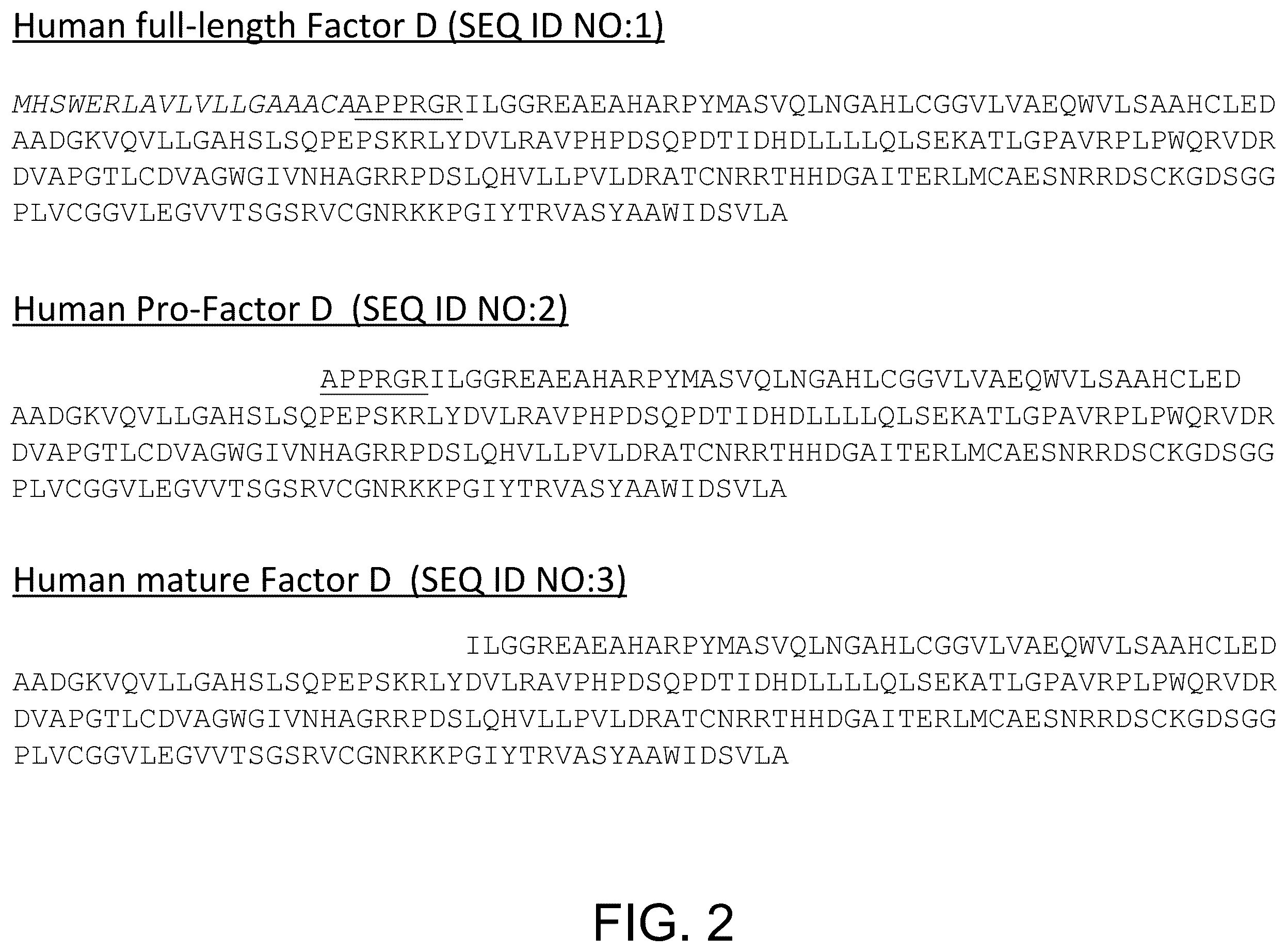 Patent US12129290 Figure 2 – Monoclonal antibodies, compositions and methods for detecting complement factor D