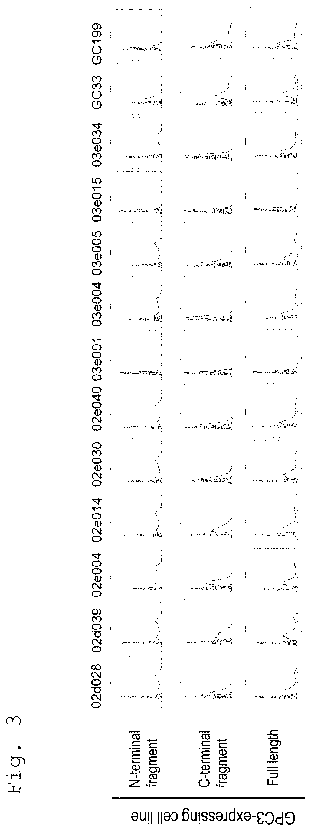 Patent US12129291 Figure 3 – Anti-GPC3 antibody