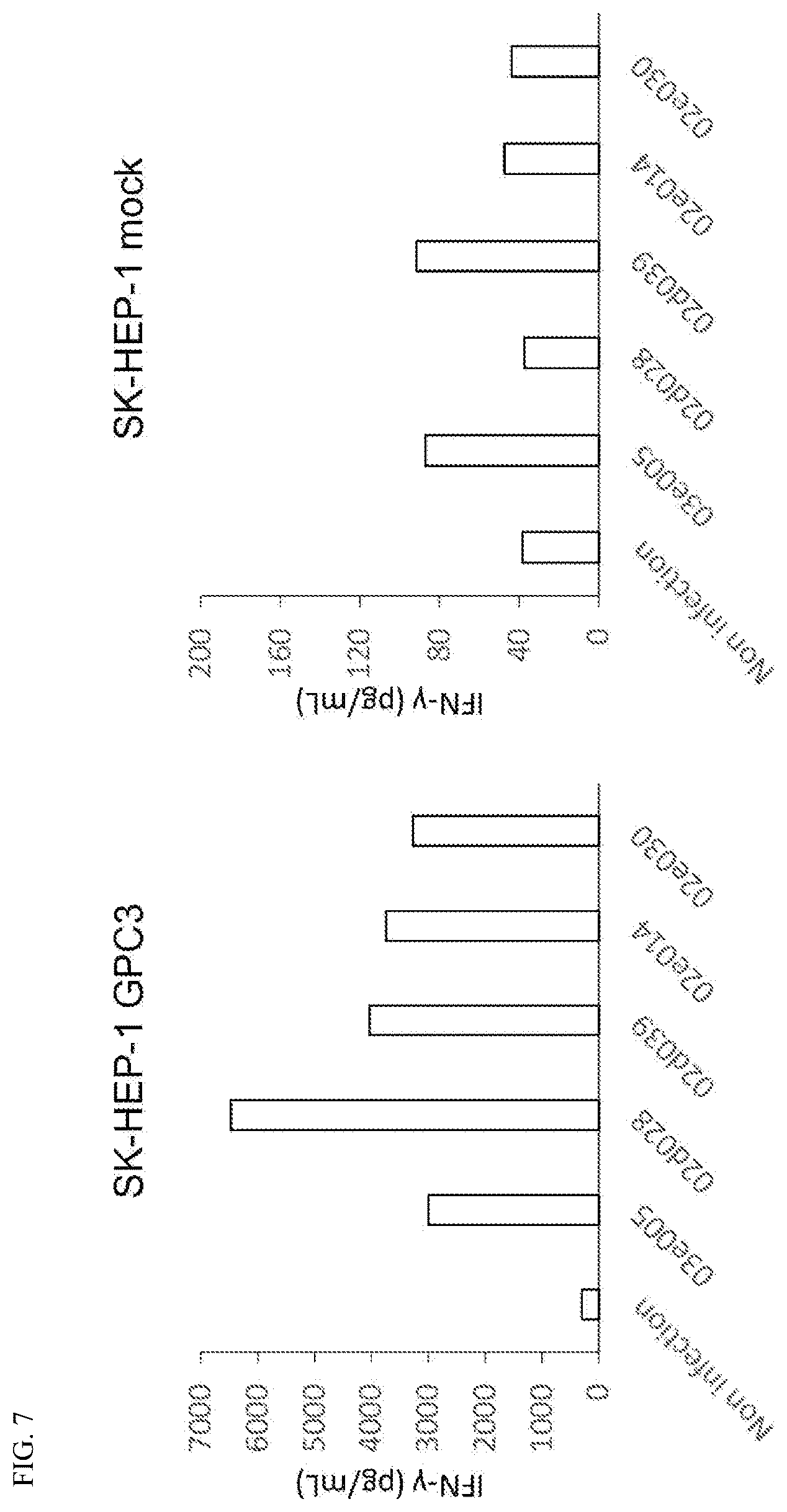 Patent US12129291 Figure 7 – Anti-GPC3 antibody