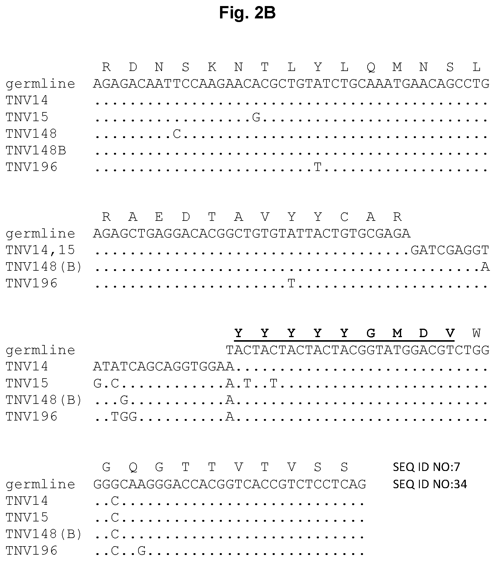 Patent US12129292 Figure 3 – Anti-tumor necrosis factor (TNF) antibodies and compositions thereof