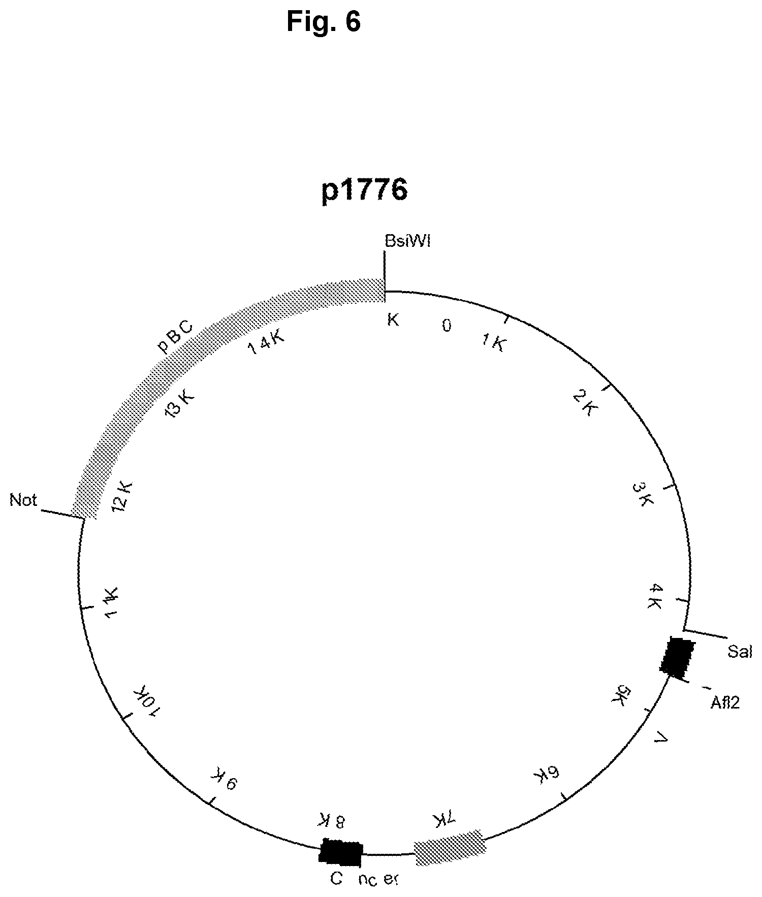 Patent US12129292 Figure 7 – Anti-tumor necrosis factor (TNF) antibodies and compositions thereof