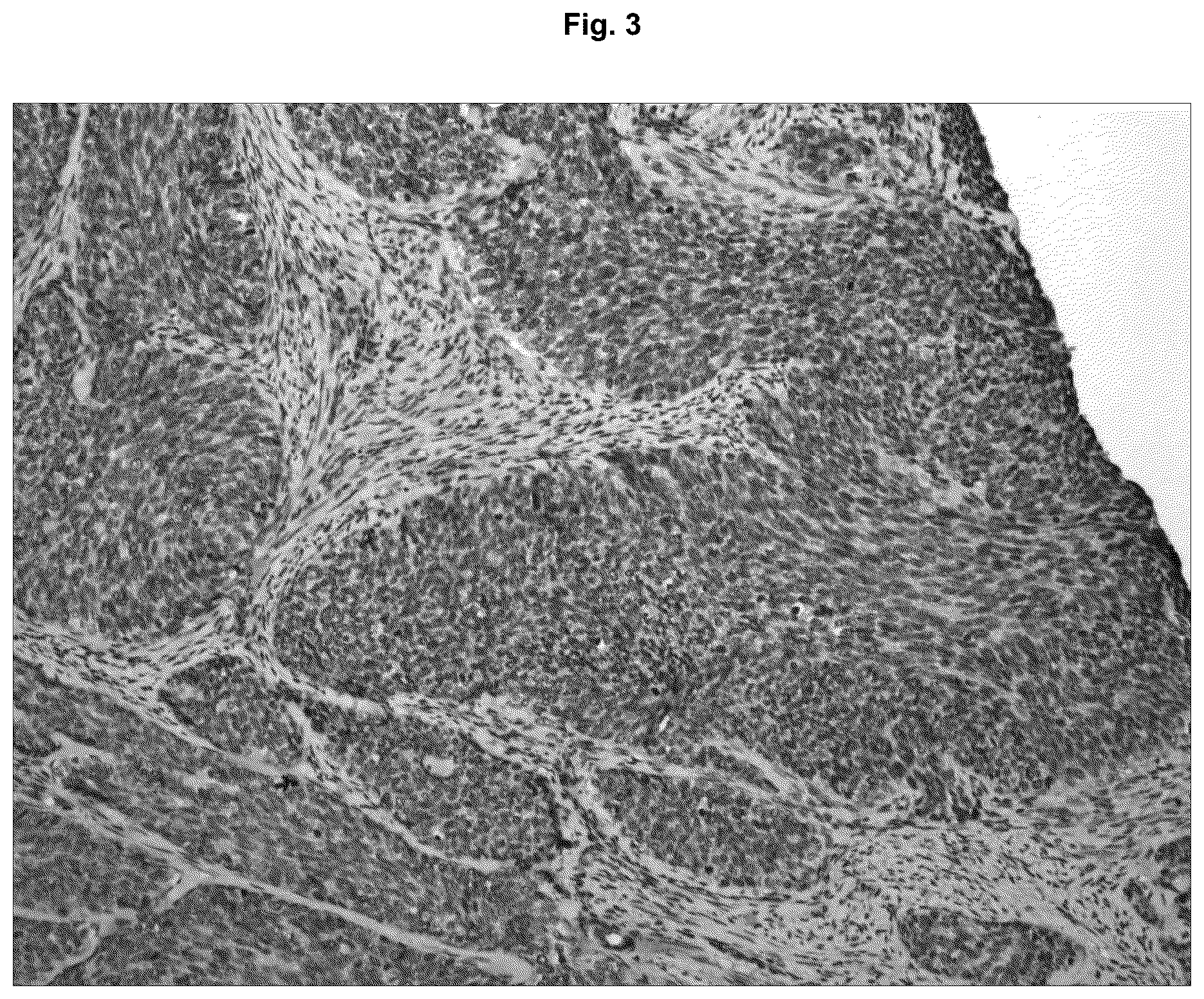 Patent US12129295 Figure 3 – Anti P2X7 receptor antibodies and fragments thereof