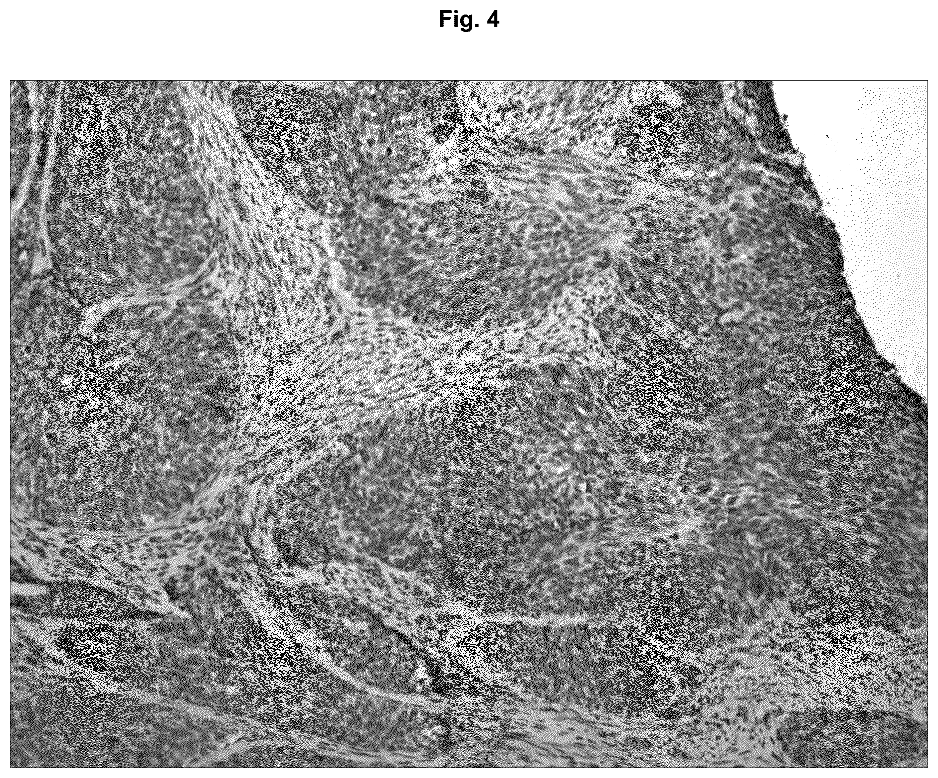 Patent US12129295 Figure 4 – Anti P2X7 receptor antibodies and fragments thereof