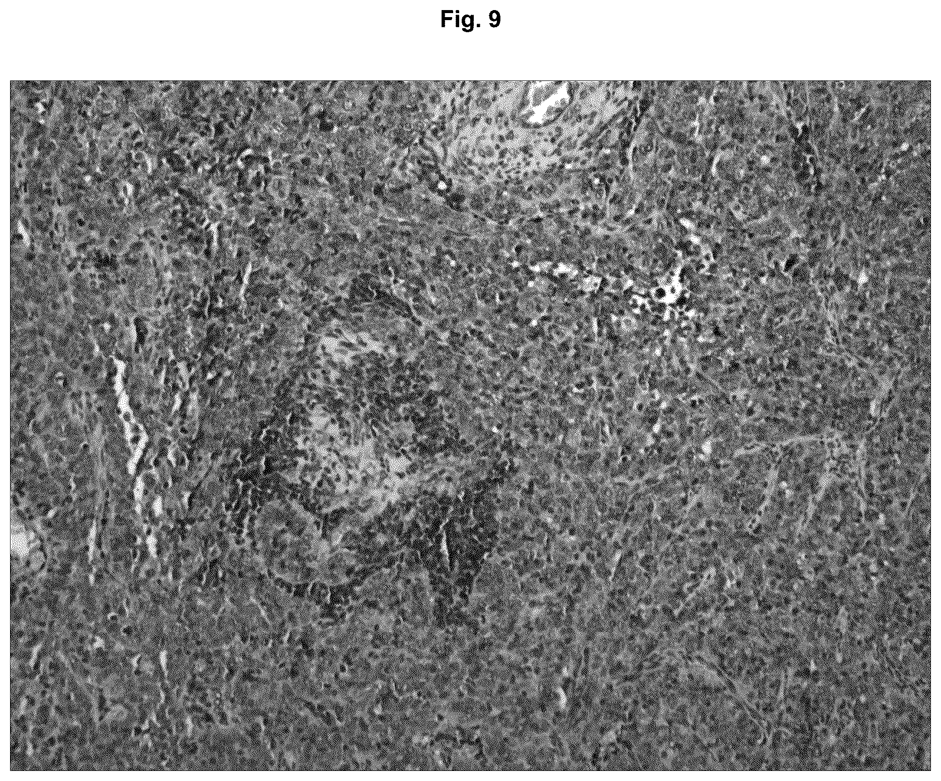 Patent US12129295 Figure 9 – Anti P2X7 receptor antibodies and fragments thereof