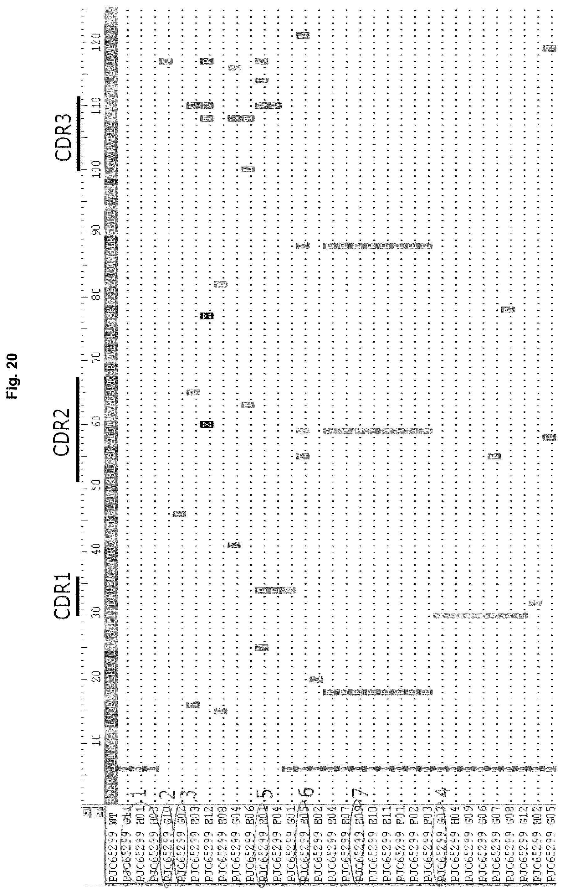Patent US12129295 Figure 20 – Anti P2X7 receptor antibodies and fragments thereof