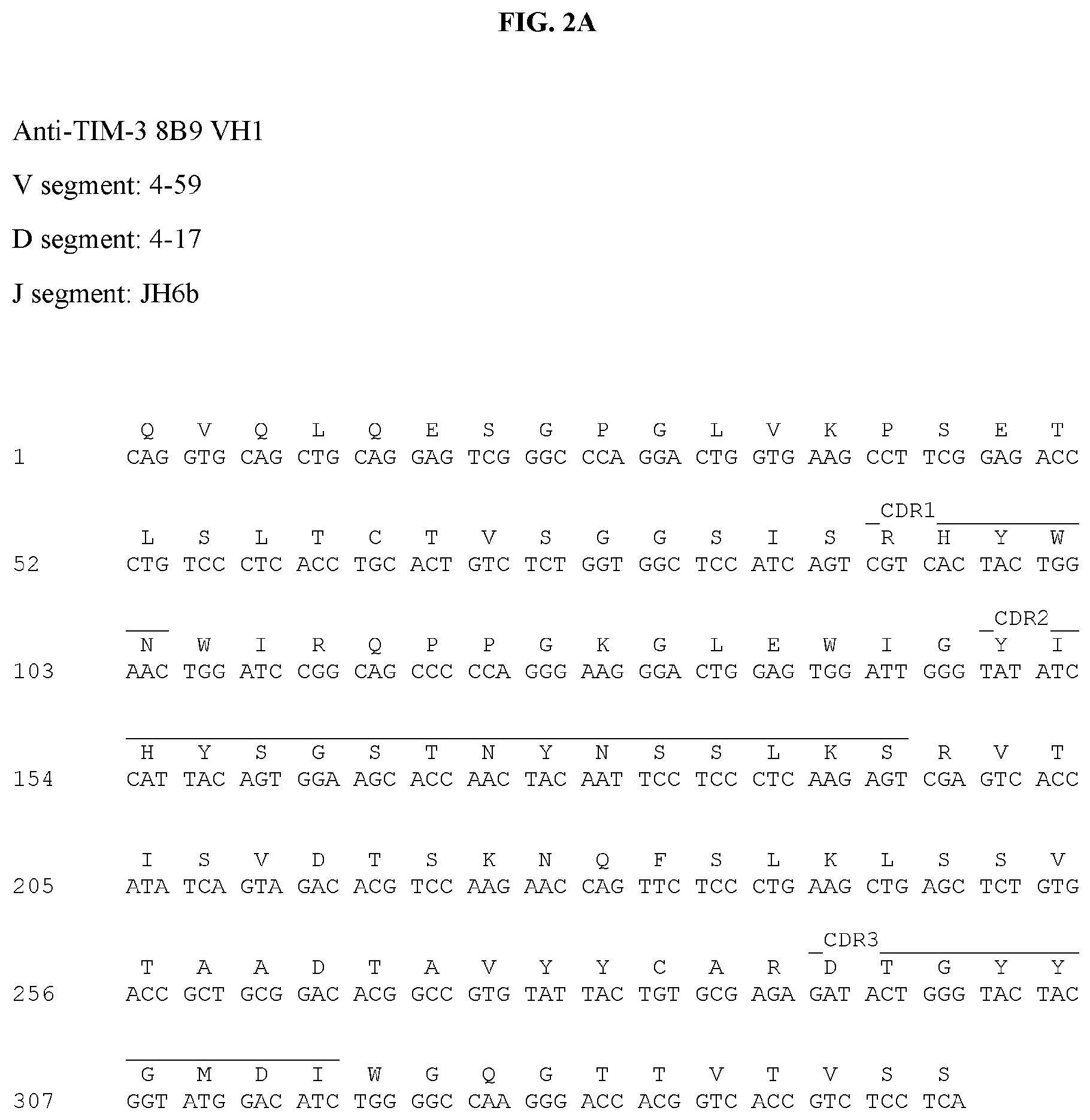 Patent US12129297 Figure 4 – Antibodies against TIM3 and uses thereof