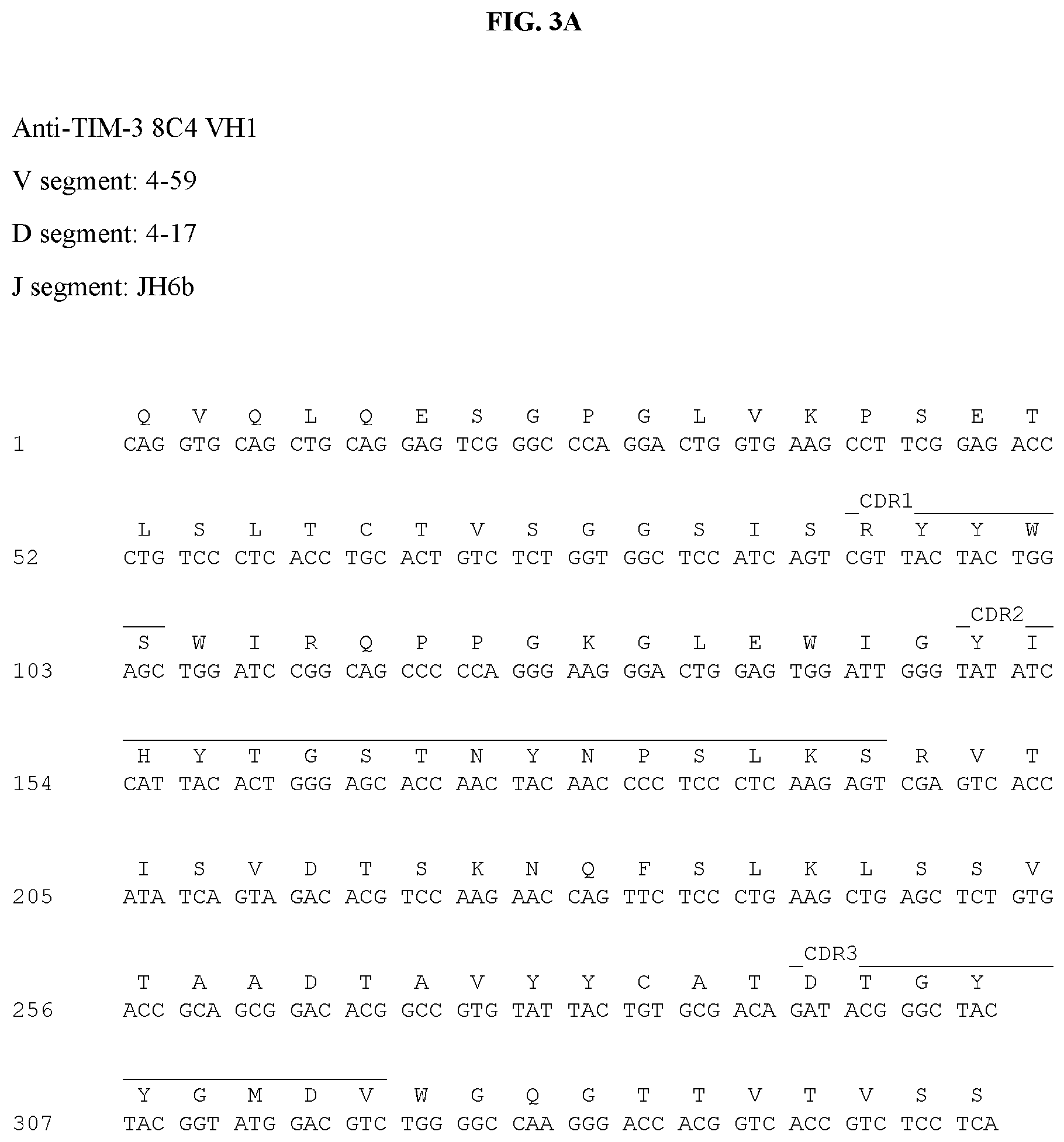 Patent US12129297 Figure 7 – Antibodies against TIM3 and uses thereof
