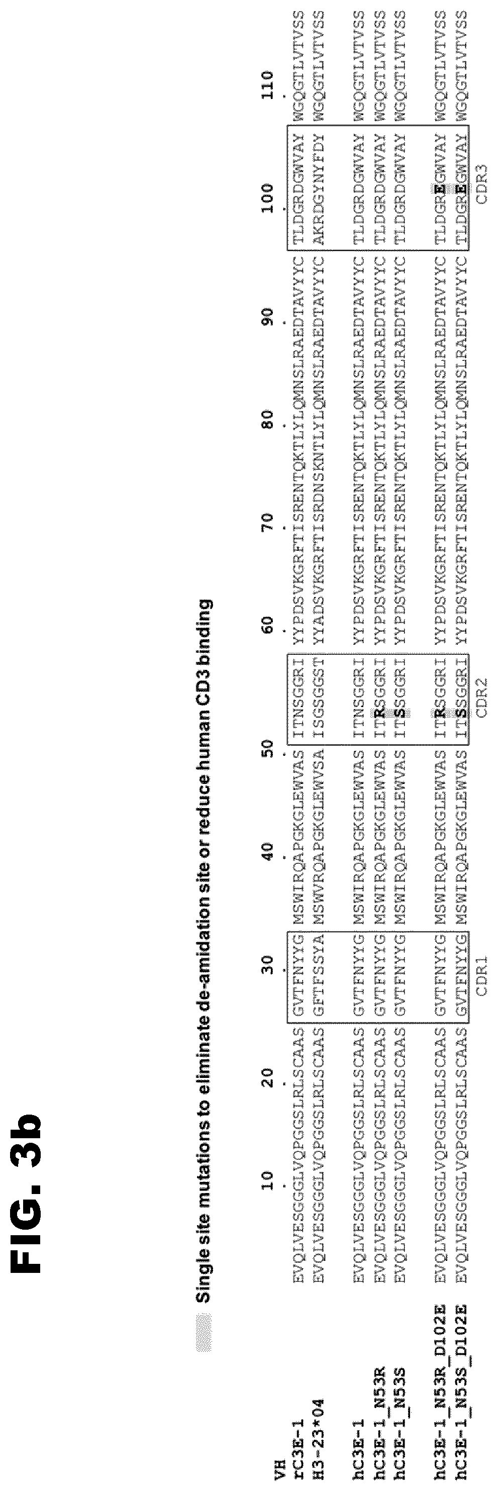 Patent US12129298 Figure 4 – Compositions including CD3 antigen binding fragments and uses thereof