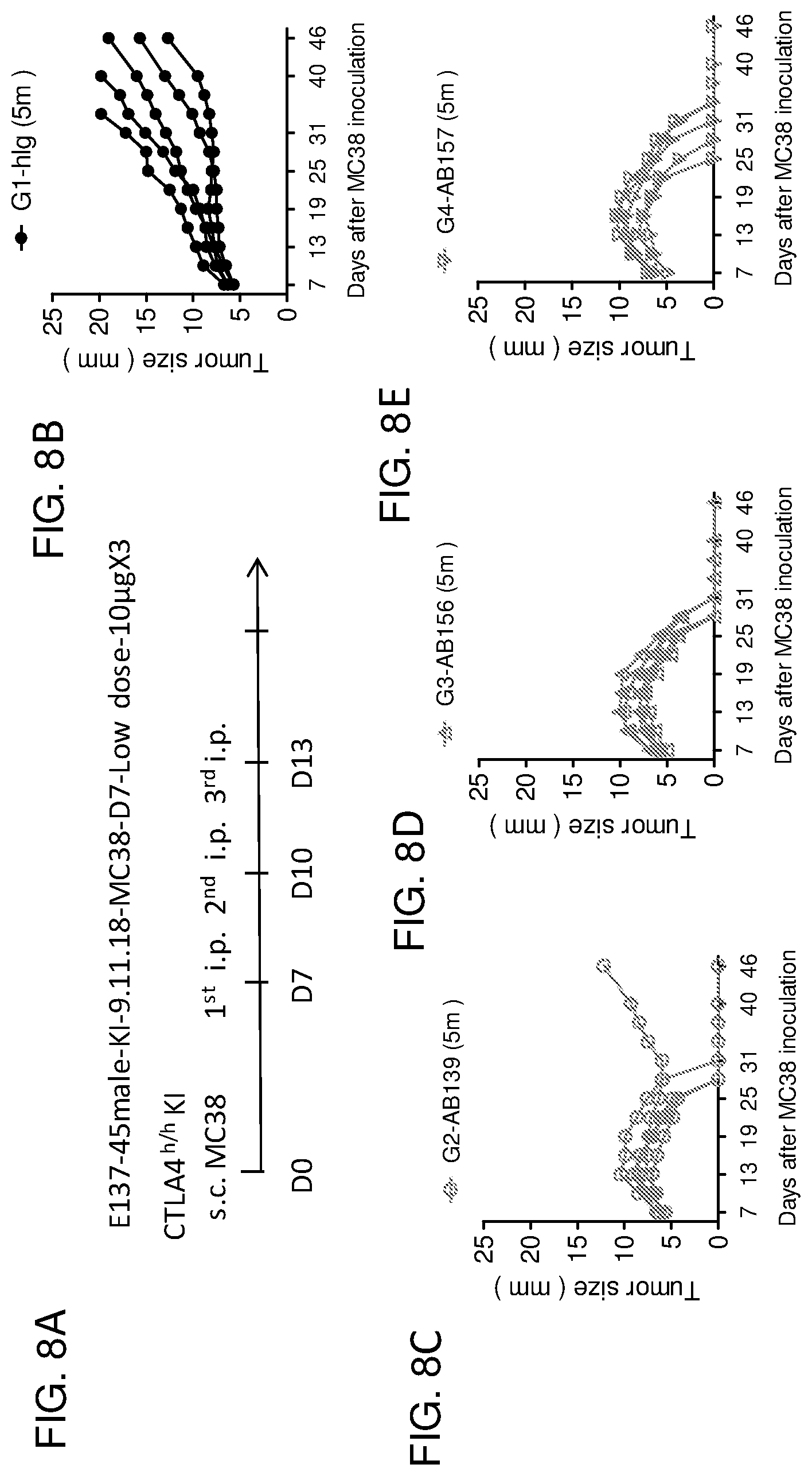 Patent US12129299 Figure 8 – Mutant anti-CTLA-4 antibodies with improved immunotherapeutic effect but attenuated adverse effects