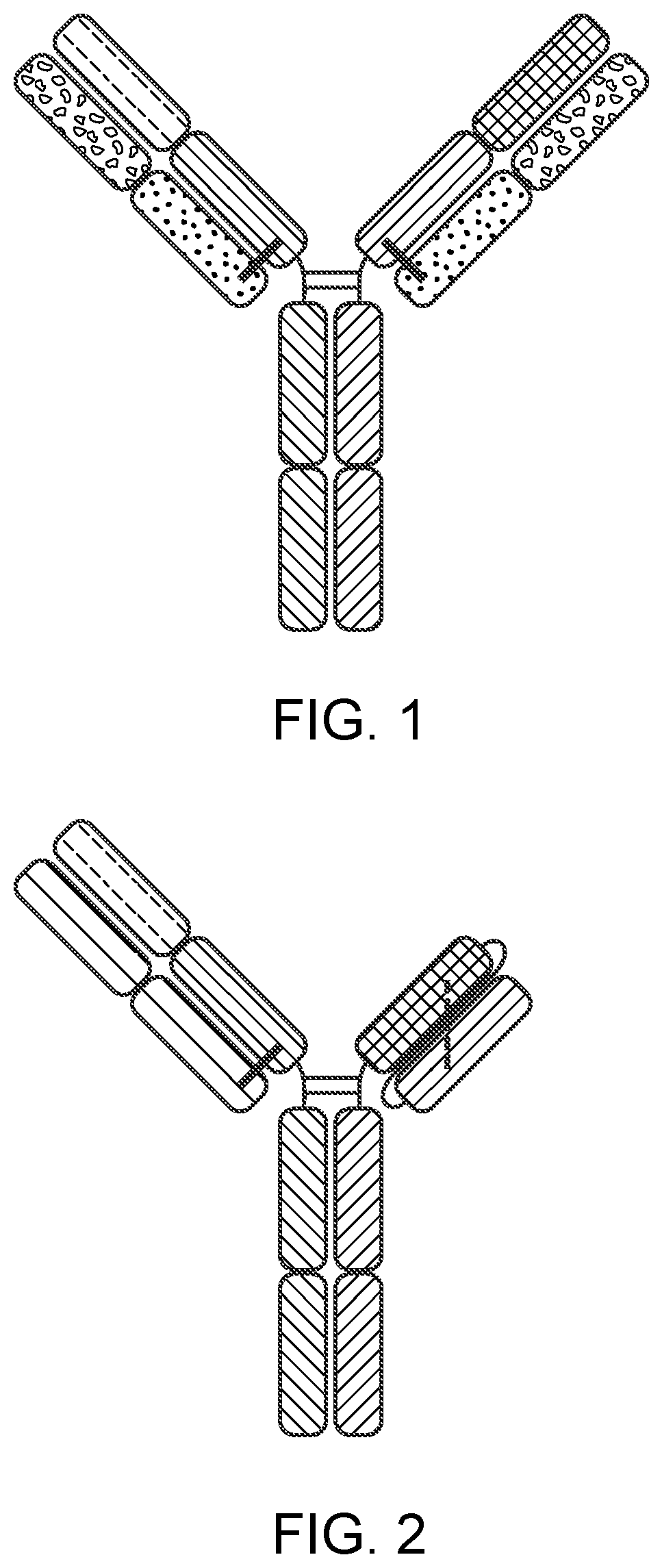Patent US12129300 Figure 1 – Antibody variable domains targeting the NKG2D receptor