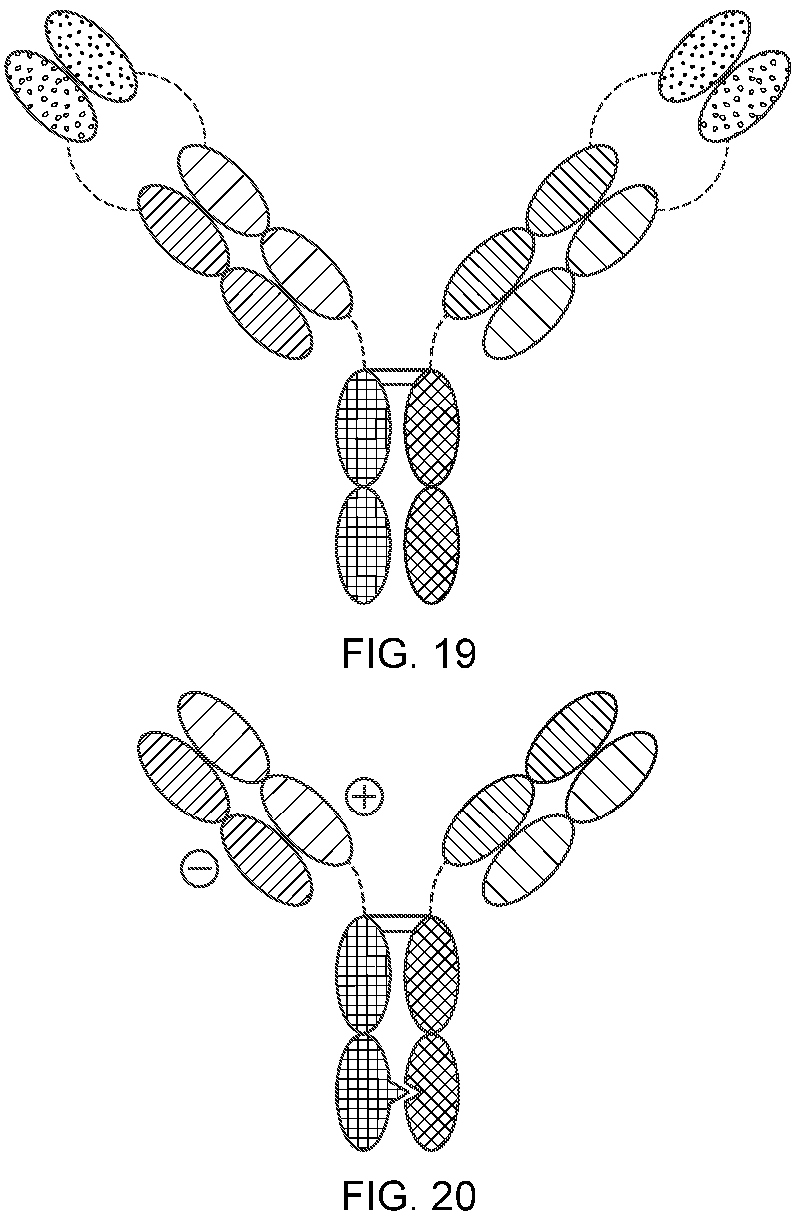 Patent US12129300 Figure 11 – Antibody variable domains targeting the NKG2D receptor