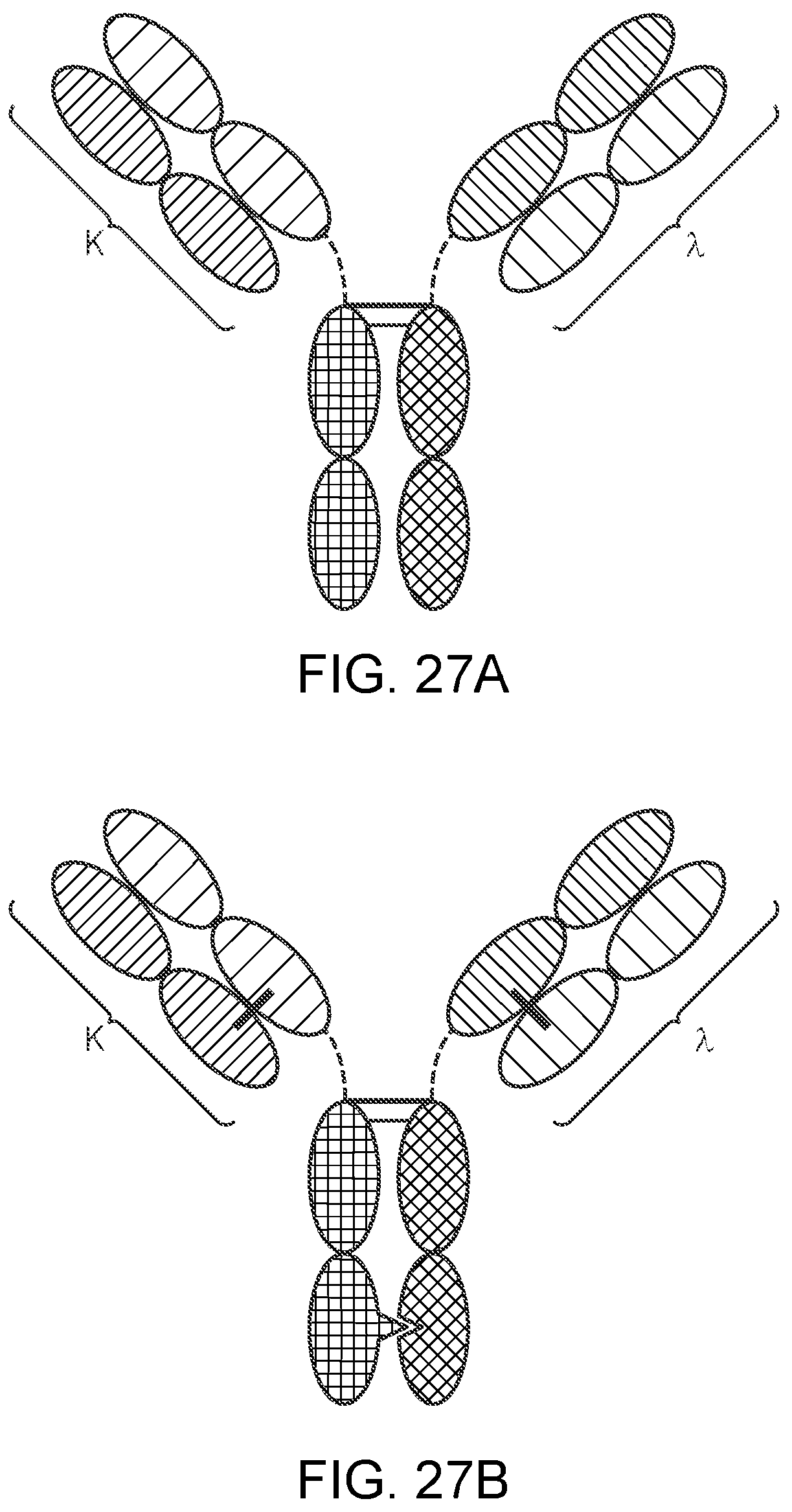Patent US12129300 Figure 15 – Antibody variable domains targeting the NKG2D receptor