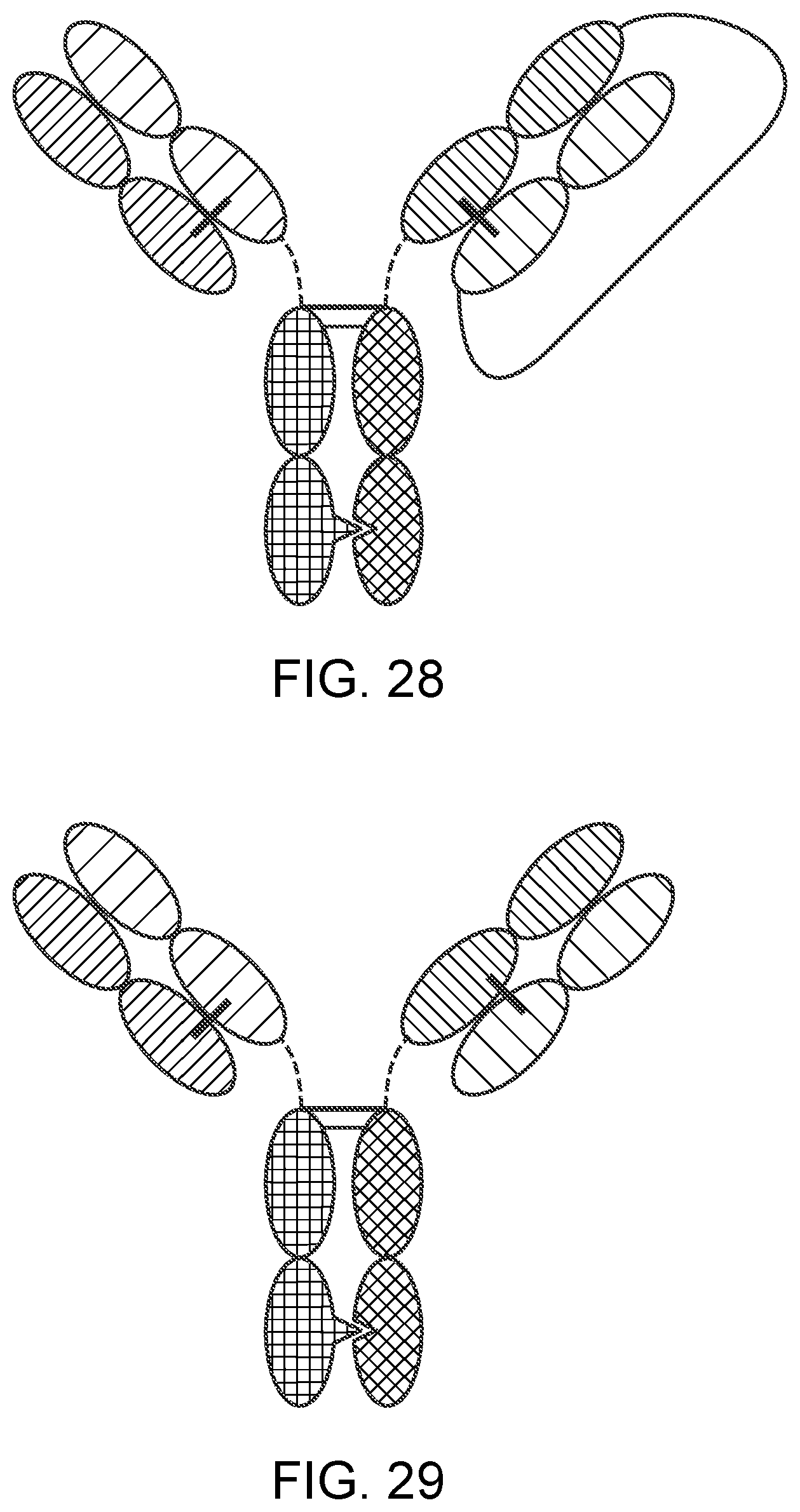 Patent US12129300 Figure 16 – Antibody variable domains targeting the NKG2D receptor