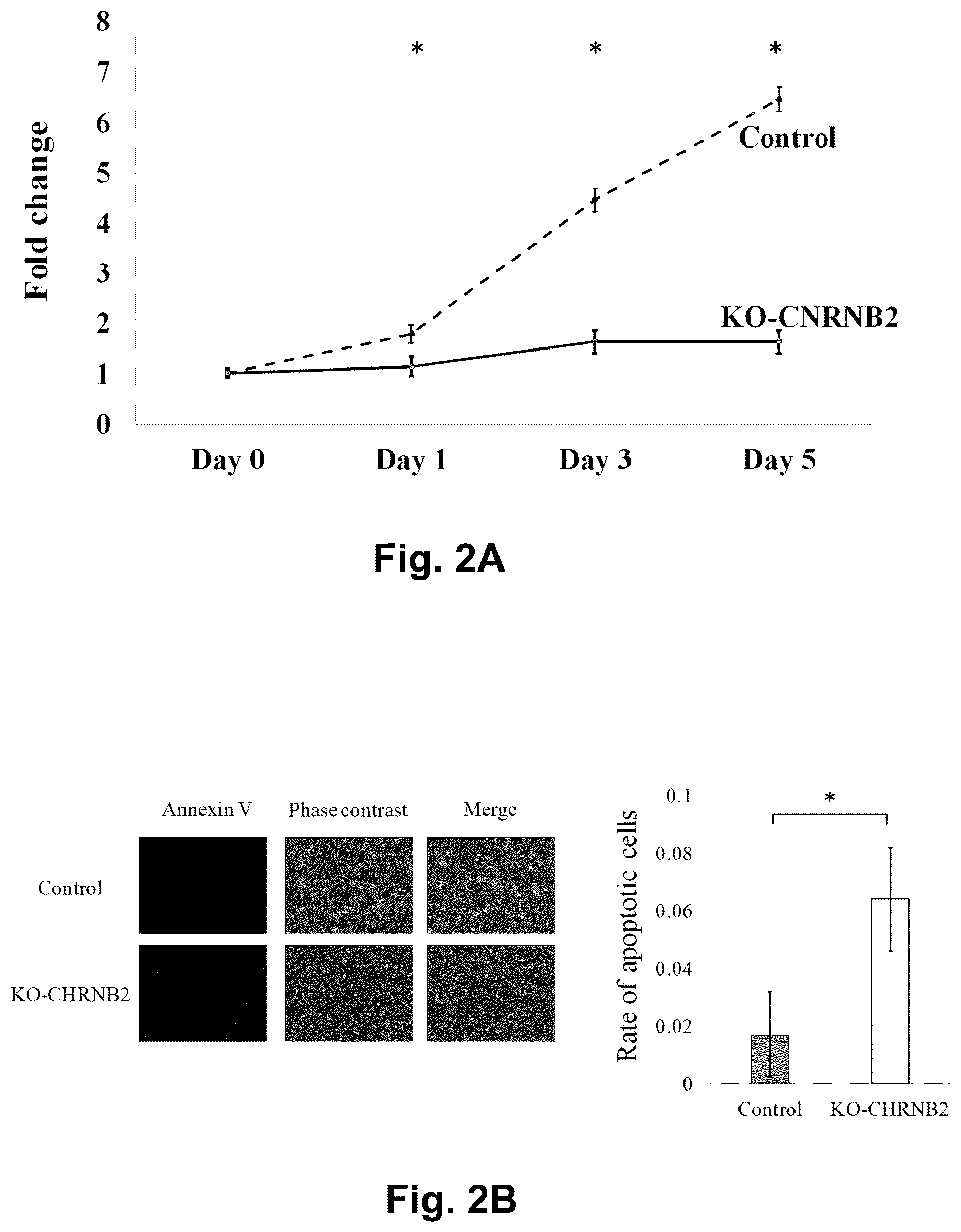 Patent US12129301 Figure 2 – Therapeutic agent targeted to receptor protein, test agent, antibody that binds to receptor protein, and screening method for molecularly targeted drugs