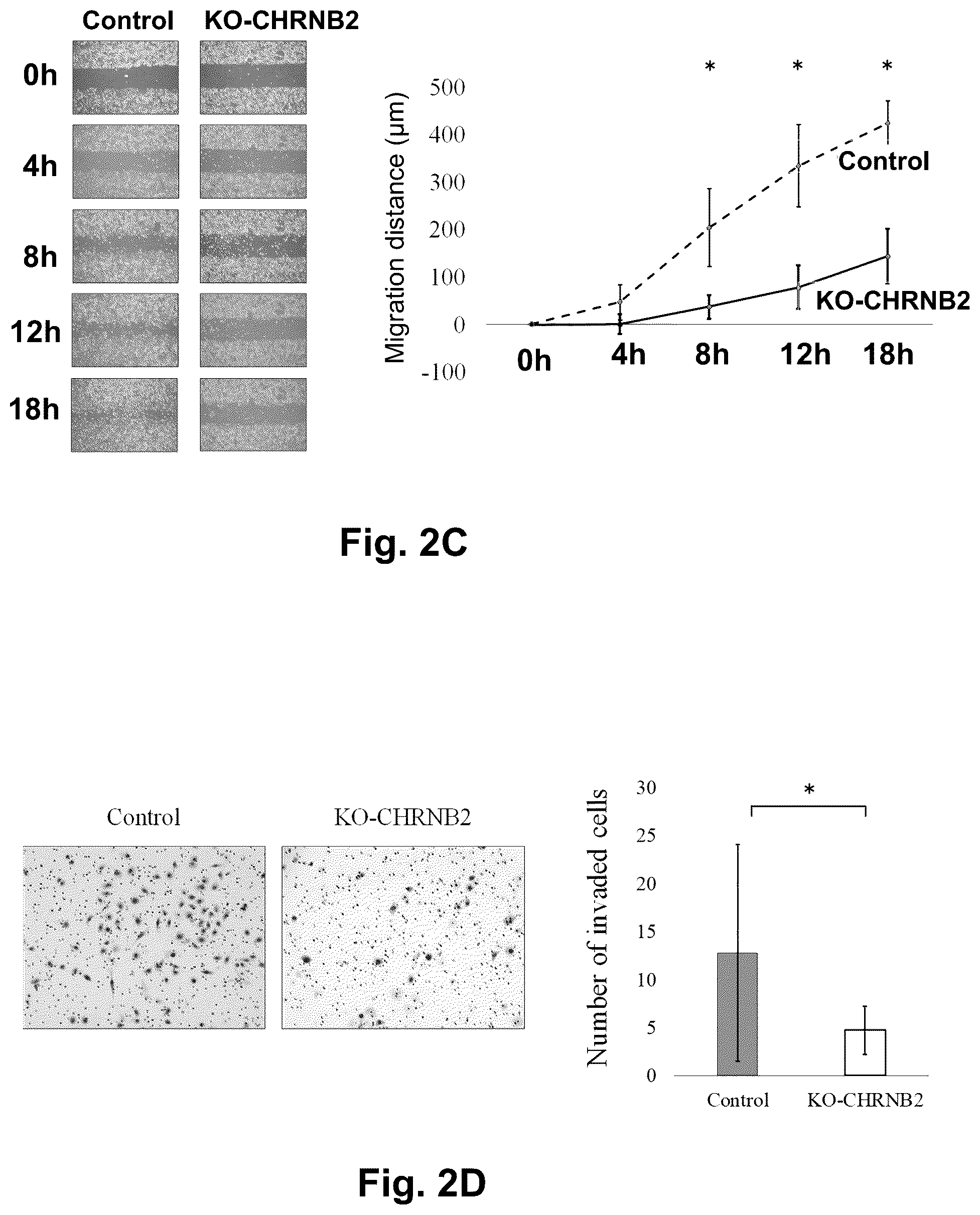 Patent US12129301 Figure 3 – Therapeutic agent targeted to receptor protein, test agent, antibody that binds to receptor protein, and screening method for molecularly targeted drugs