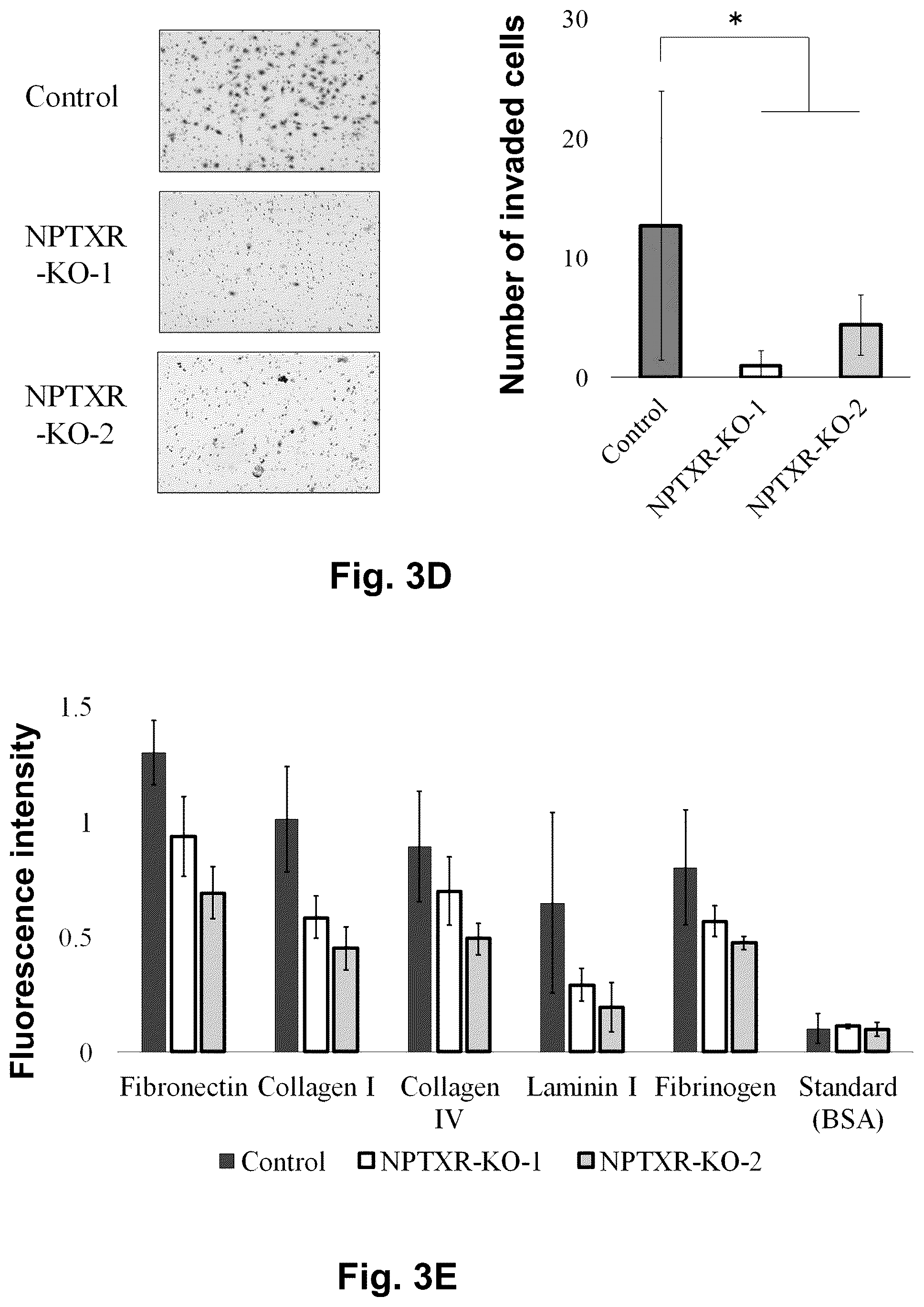 Patent US12129301 Figure 6 – Therapeutic agent targeted to receptor protein, test agent, antibody that binds to receptor protein, and screening method for molecularly targeted drugs