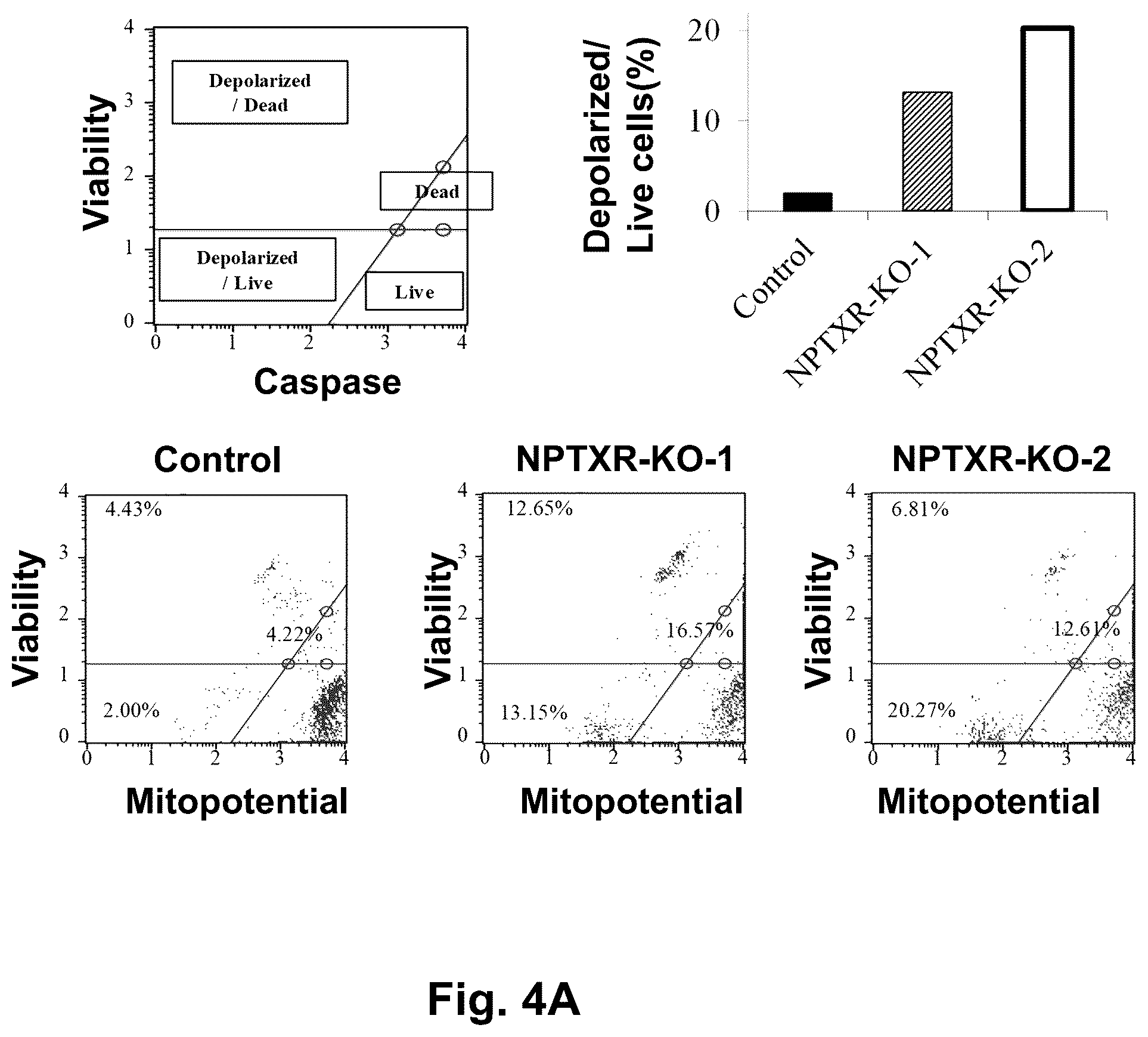 Patent US12129301 Figure 7 – Therapeutic agent targeted to receptor protein, test agent, antibody that binds to receptor protein, and screening method for molecularly targeted drugs