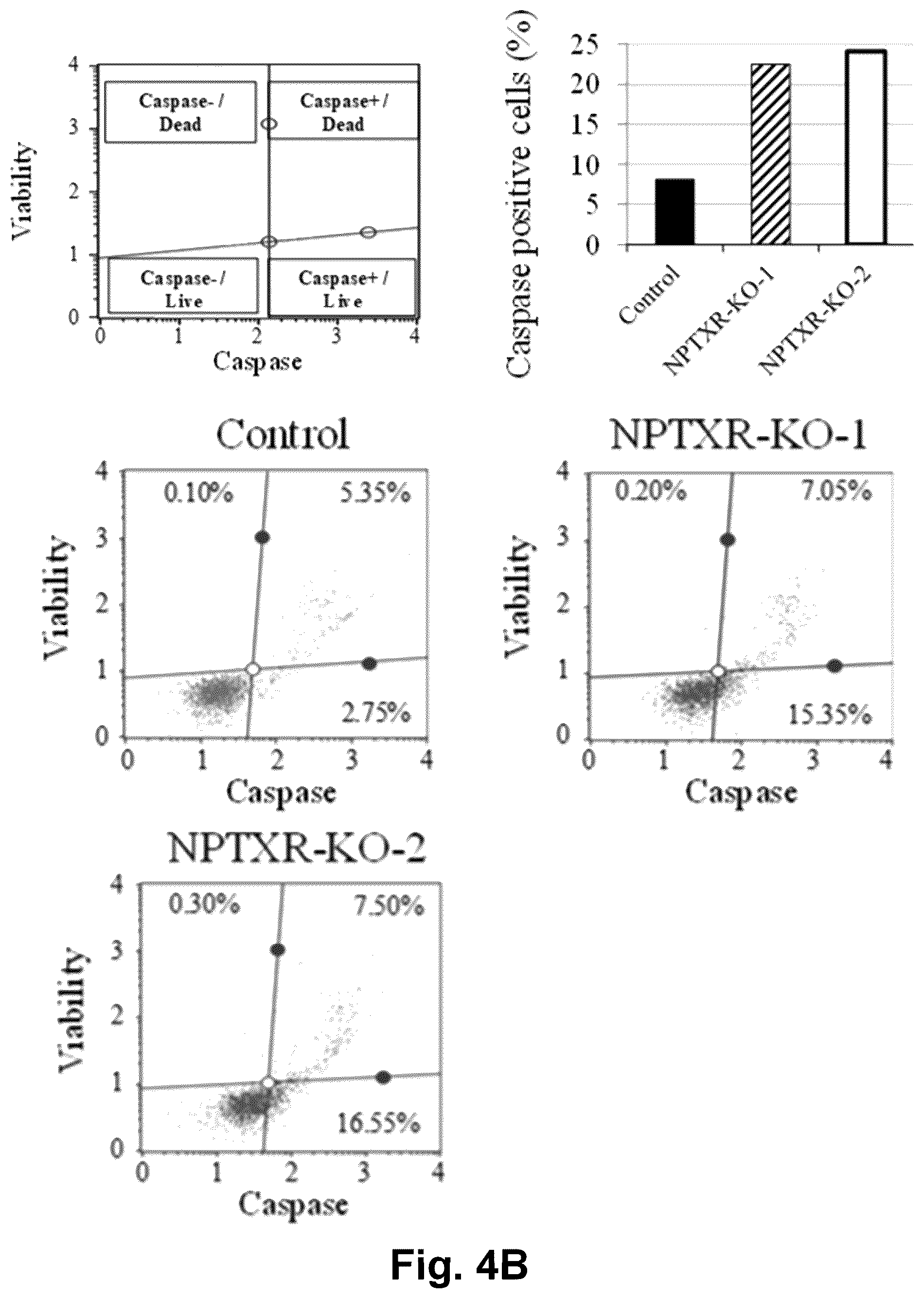 Patent US12129301 Figure 8 – Therapeutic agent targeted to receptor protein, test agent, antibody that binds to receptor protein, and screening method for molecularly targeted drugs