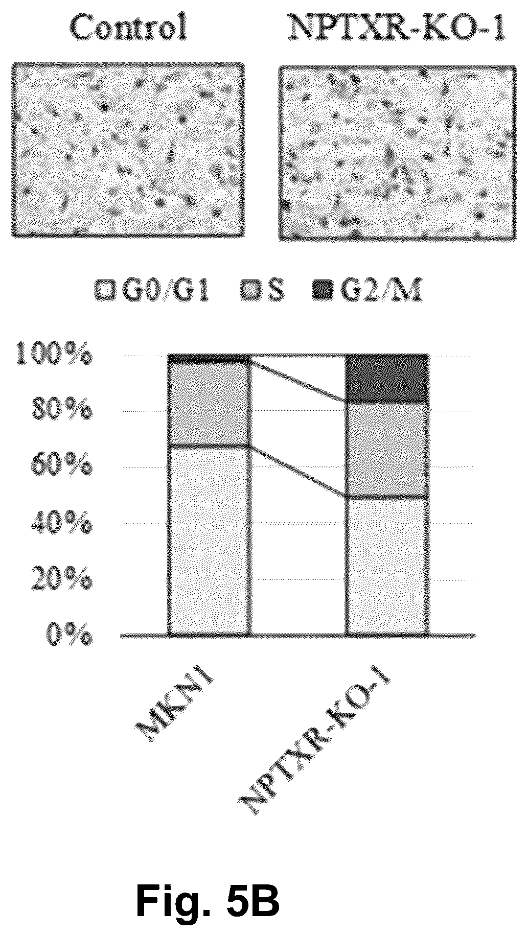 Patent US12129301 Figure 11 – Therapeutic agent targeted to receptor protein, test agent, antibody that binds to receptor protein, and screening method for molecularly targeted drugs