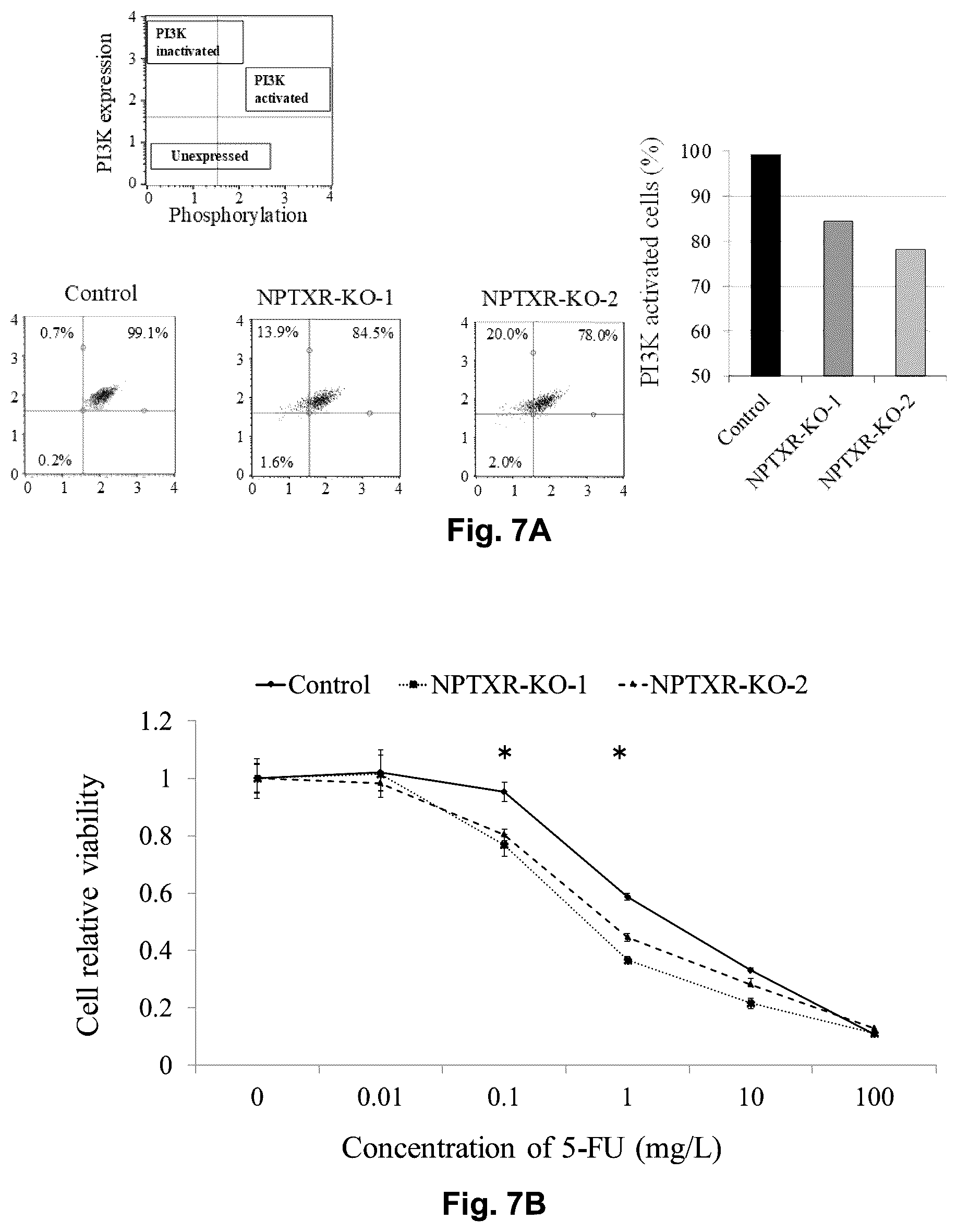 Patent US12129301 Figure 13 – Therapeutic agent targeted to receptor protein, test agent, antibody that binds to receptor protein, and screening method for molecularly targeted drugs