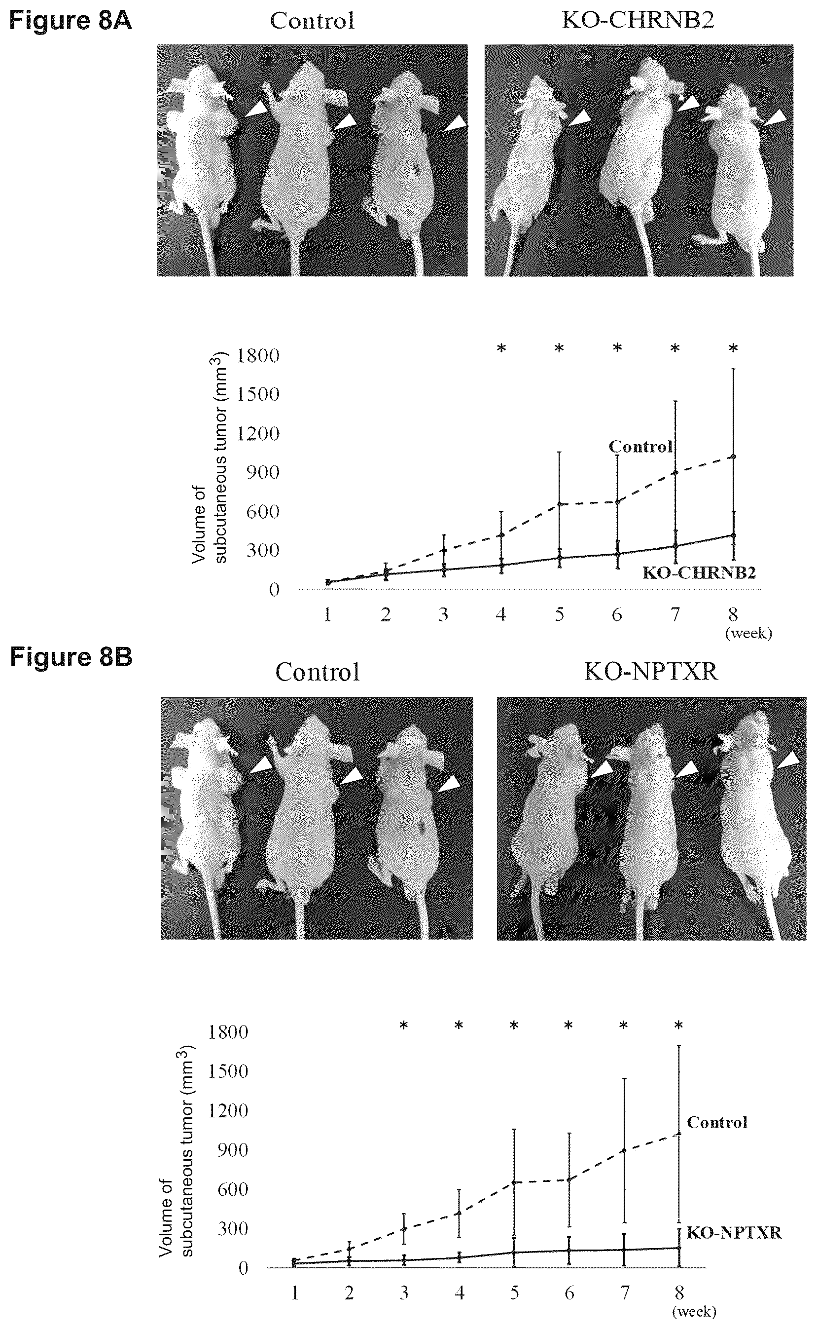 Patent US12129301 Figure 14 – Therapeutic agent targeted to receptor protein, test agent, antibody that binds to receptor protein, and screening method for molecularly targeted drugs