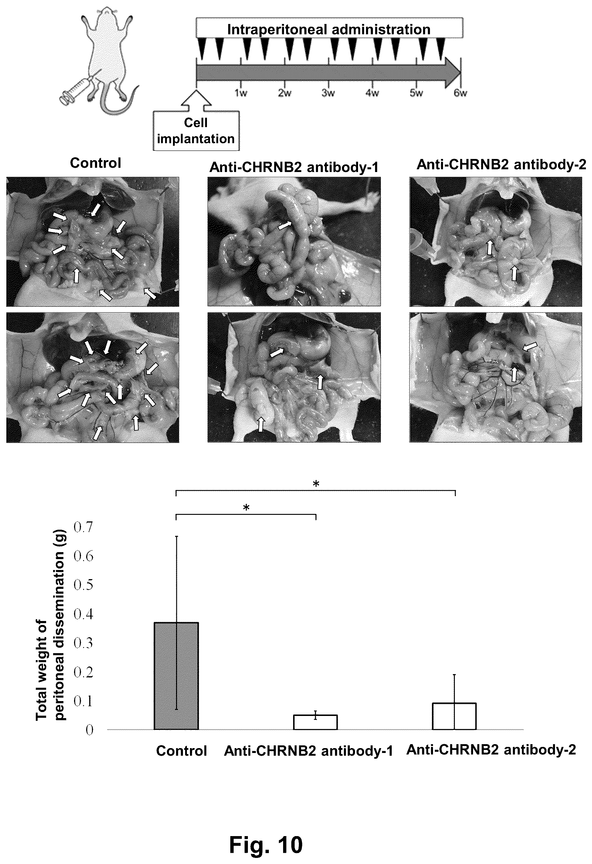 Patent US12129301 Figure 16 – Therapeutic agent targeted to receptor protein, test agent, antibody that binds to receptor protein, and screening method for molecularly targeted drugs