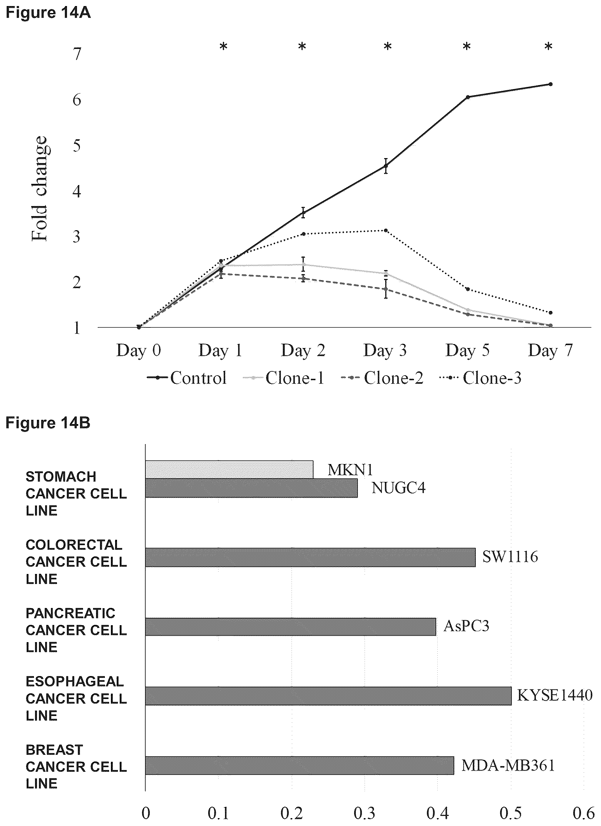 Patent US12129301 Figure 20 – Therapeutic agent targeted to receptor protein, test agent, antibody that binds to receptor protein, and screening method for molecularly targeted drugs