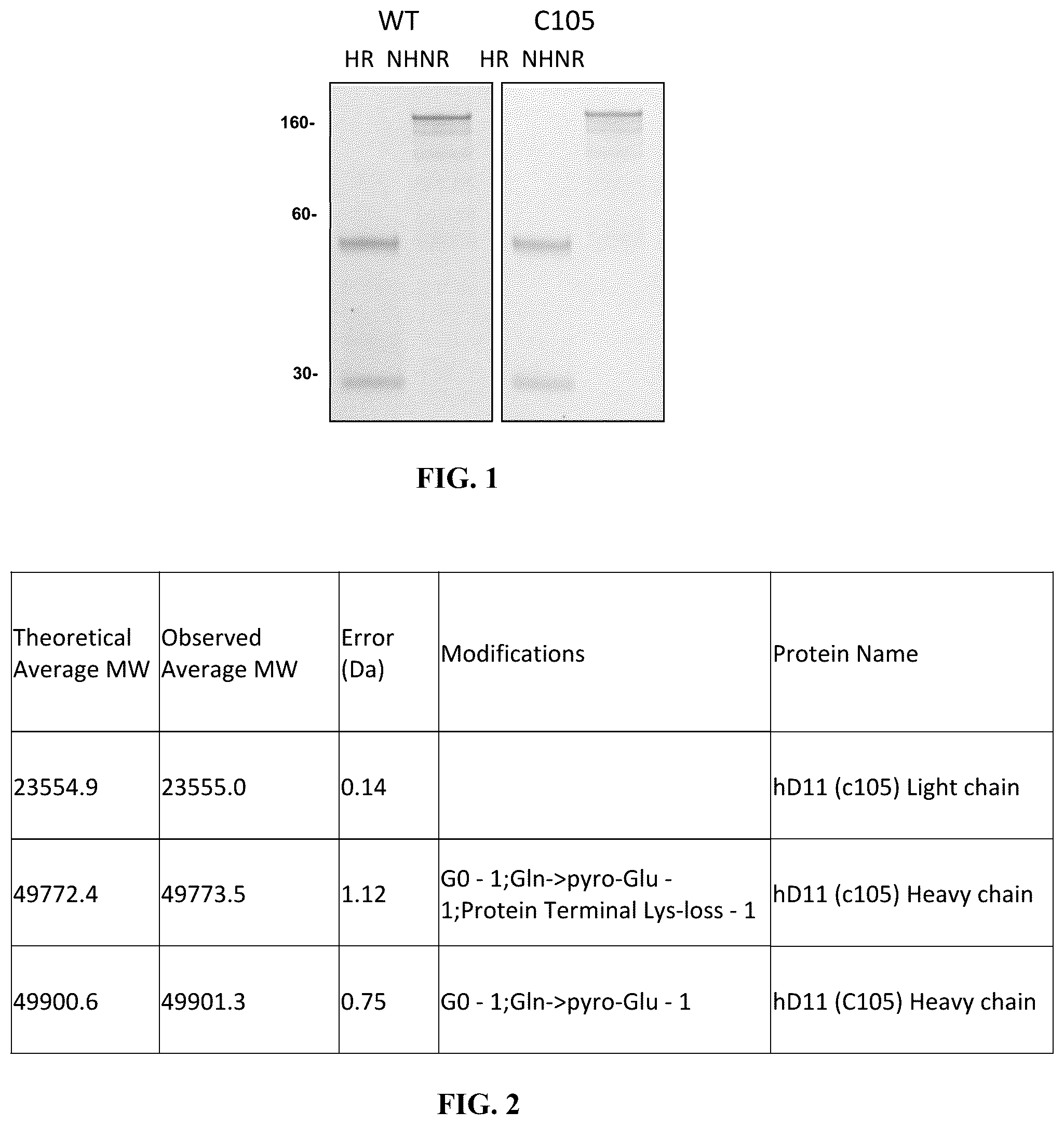 Patent US12129302 — Anti-CD-25 antibody — Figure 1