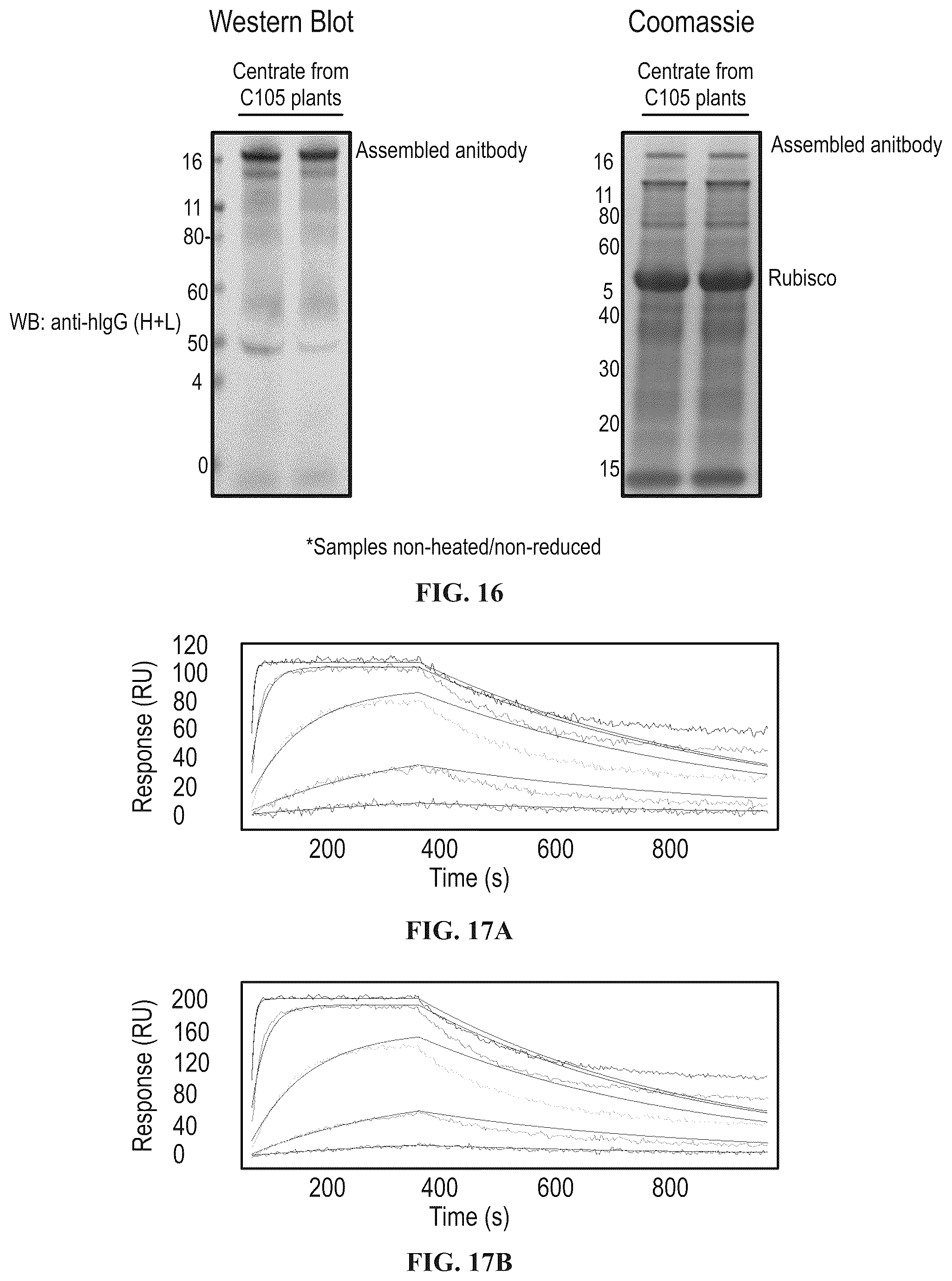 Patent US12129302 Figure 10 – Anti-CD-25 antibody