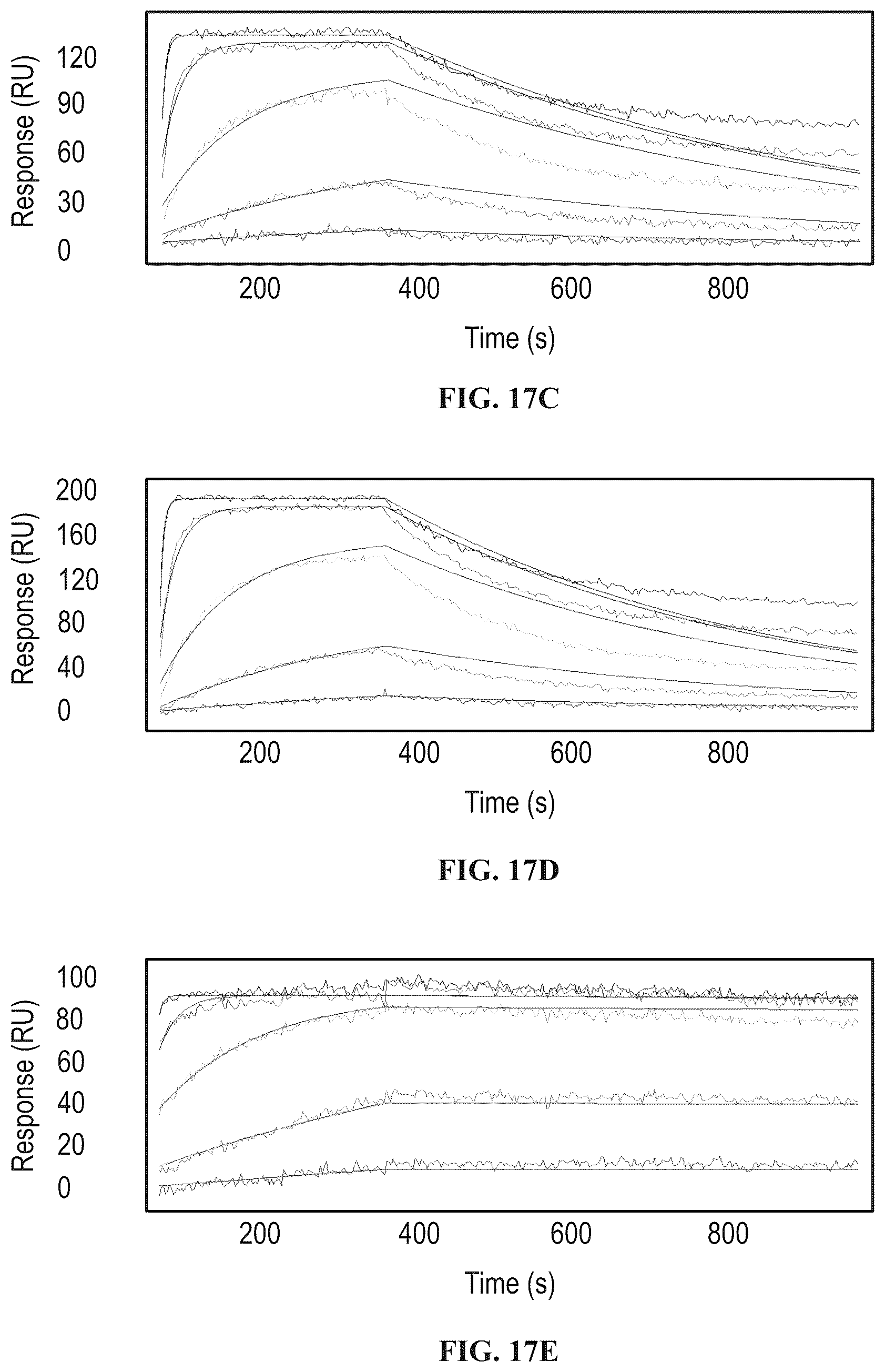 Patent US12129302 Figure 11 – Anti-CD-25 antibody
