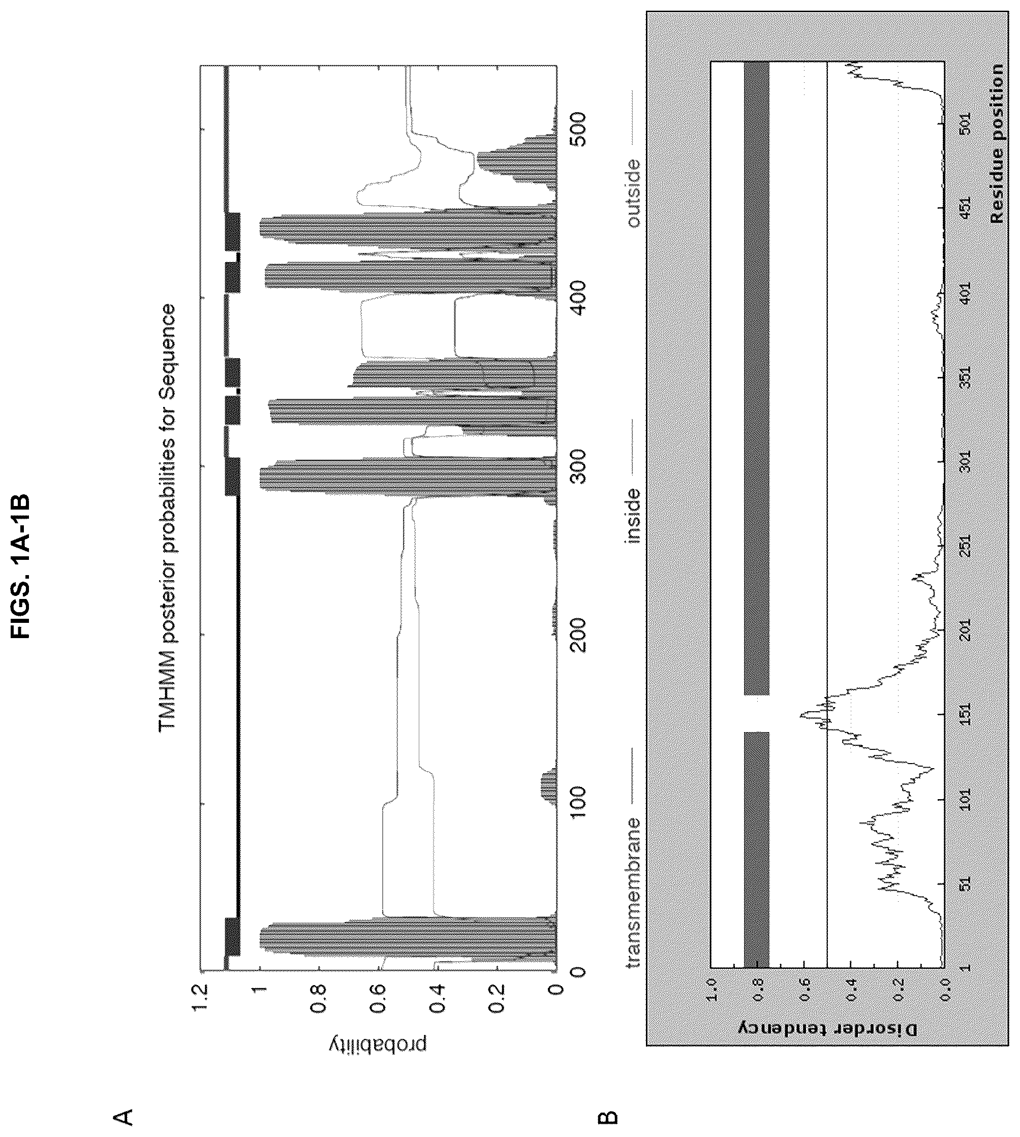 Patent US12129305 Figure 1 – Targeting CLPTM1L for treatment and prevention of cancer