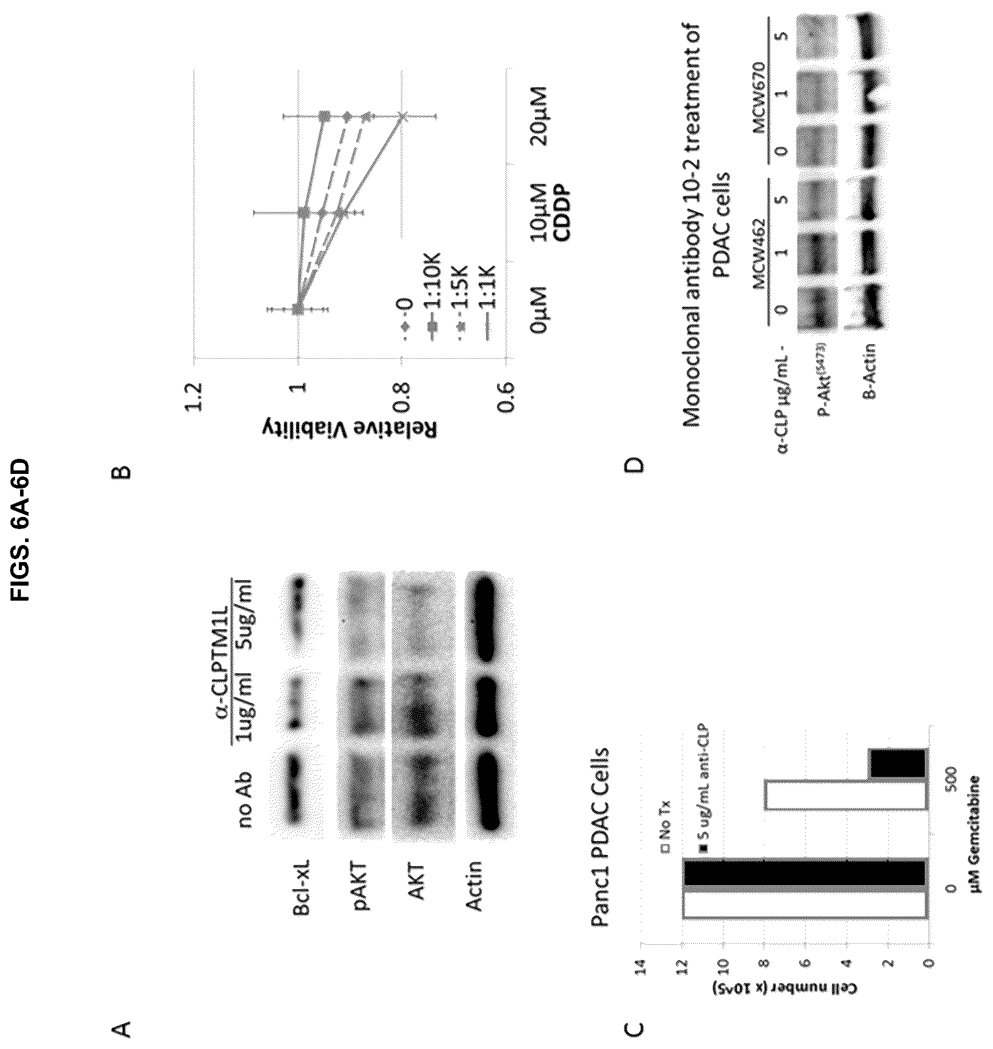 Patent US12129305 Figure 6 – Targeting CLPTM1L for treatment and prevention of cancer