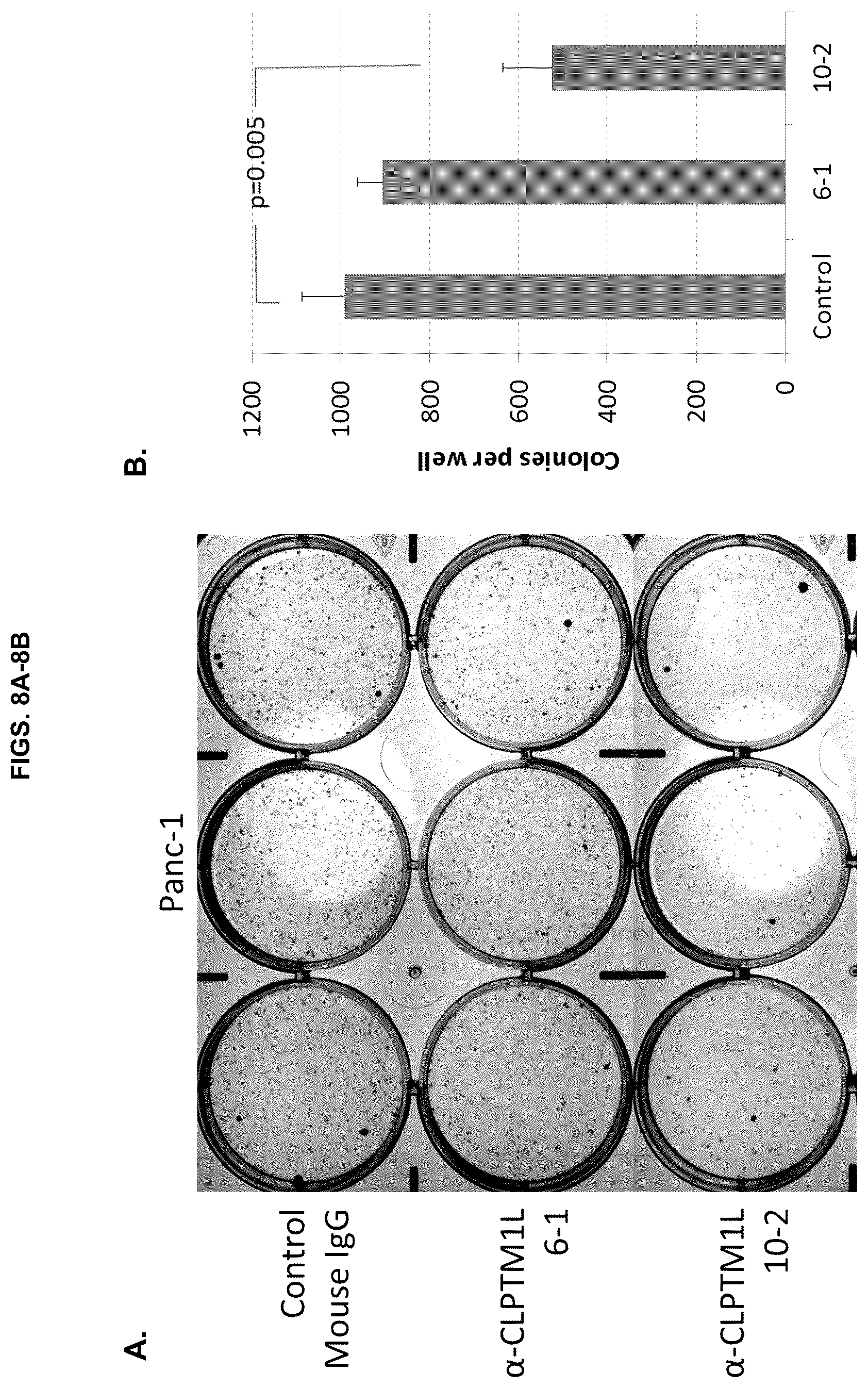 Patent US12129305 Figure 8 – Targeting CLPTM1L for treatment and prevention of cancer
