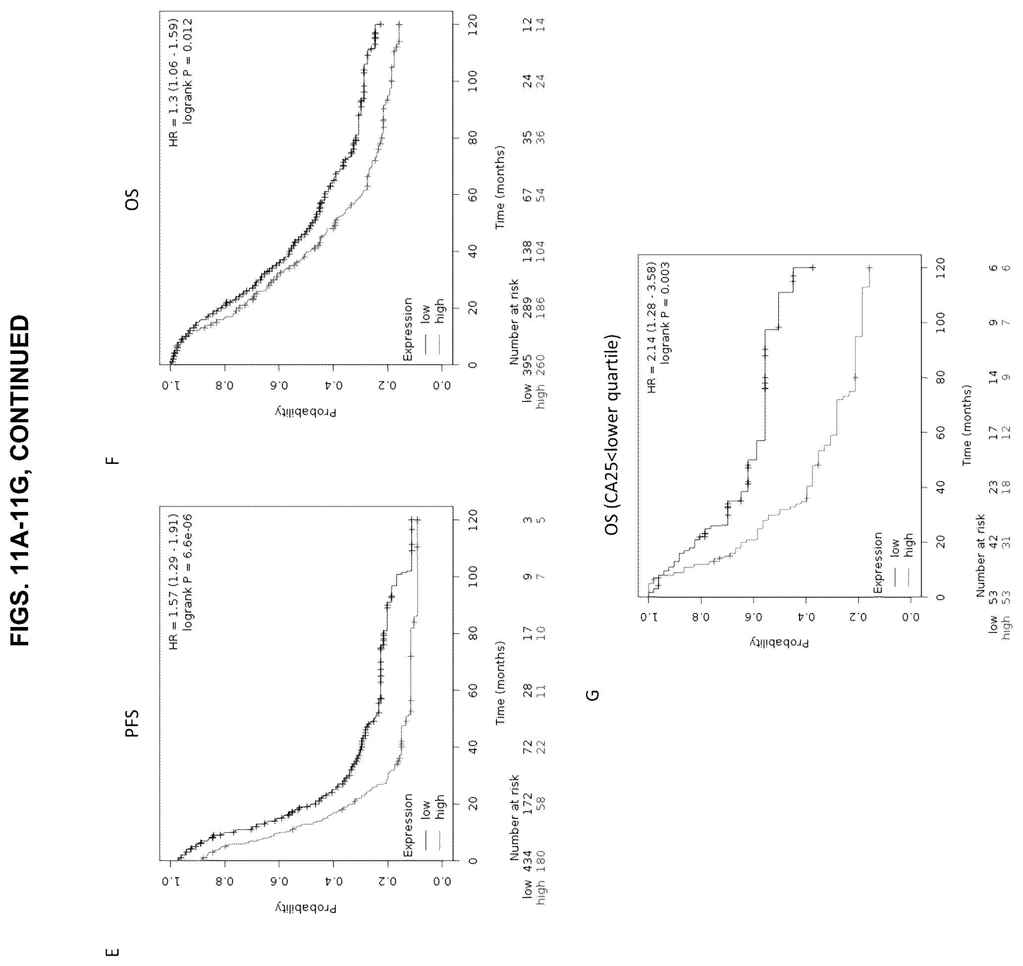 Patent US12129305 Figure 12 – Targeting CLPTM1L for treatment and prevention of cancer